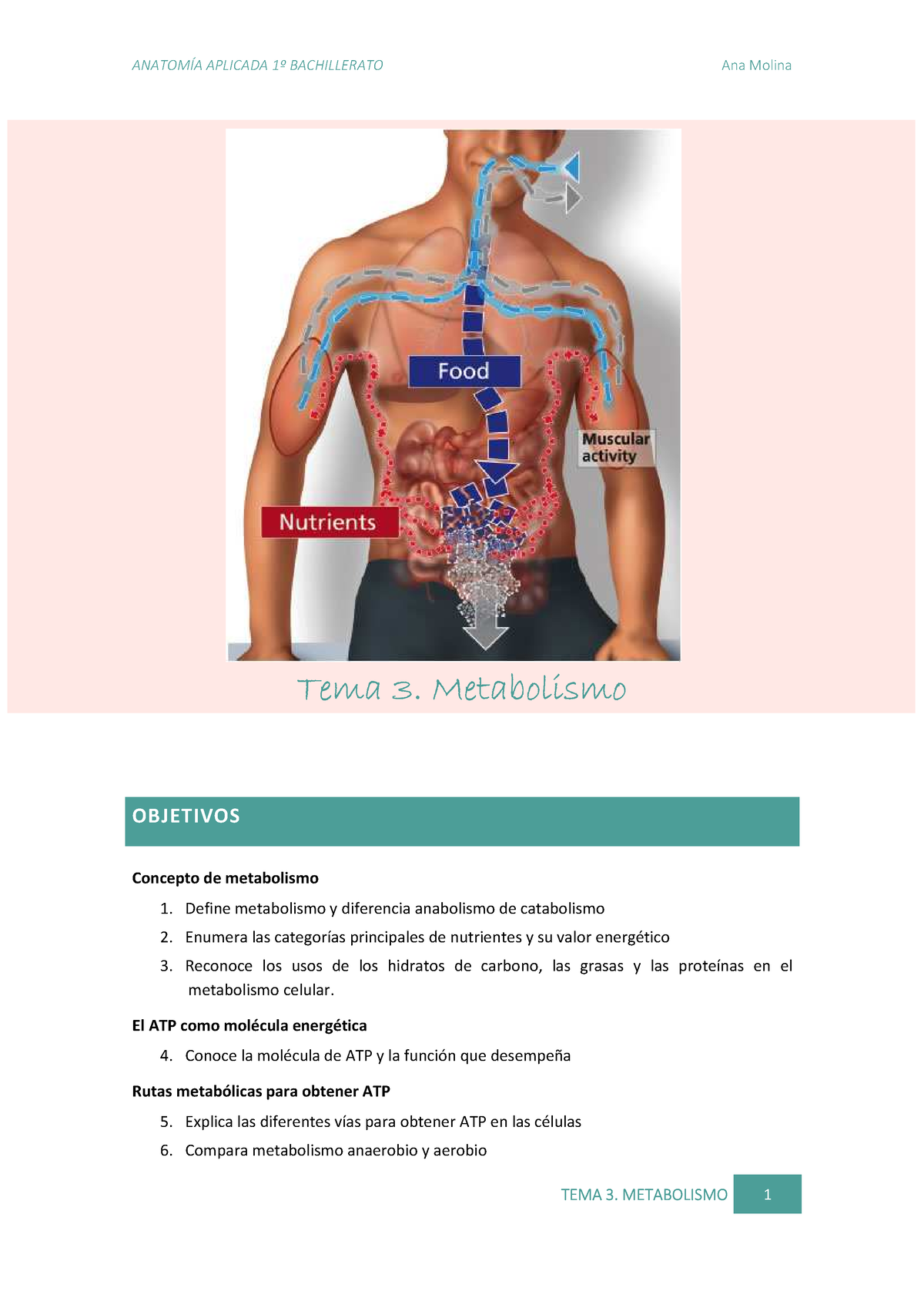 Bloque 2 - Metabolismo - Tema 3. Metabolismo OBJETIVOS Concepto De ...