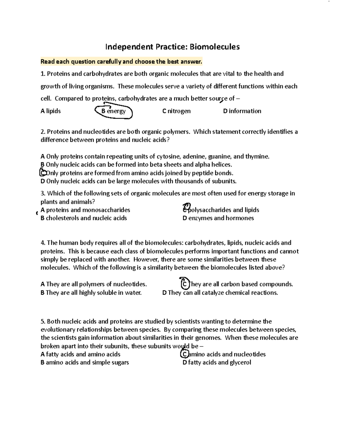 Practice +Biomolecules+%281%29 - Independent Practice: Biomolecules ...