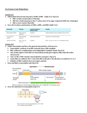Worksheet+7 prac - BIO 2306- Dr. Luna Briana Roenz SI Worksheet: 02/16 ...