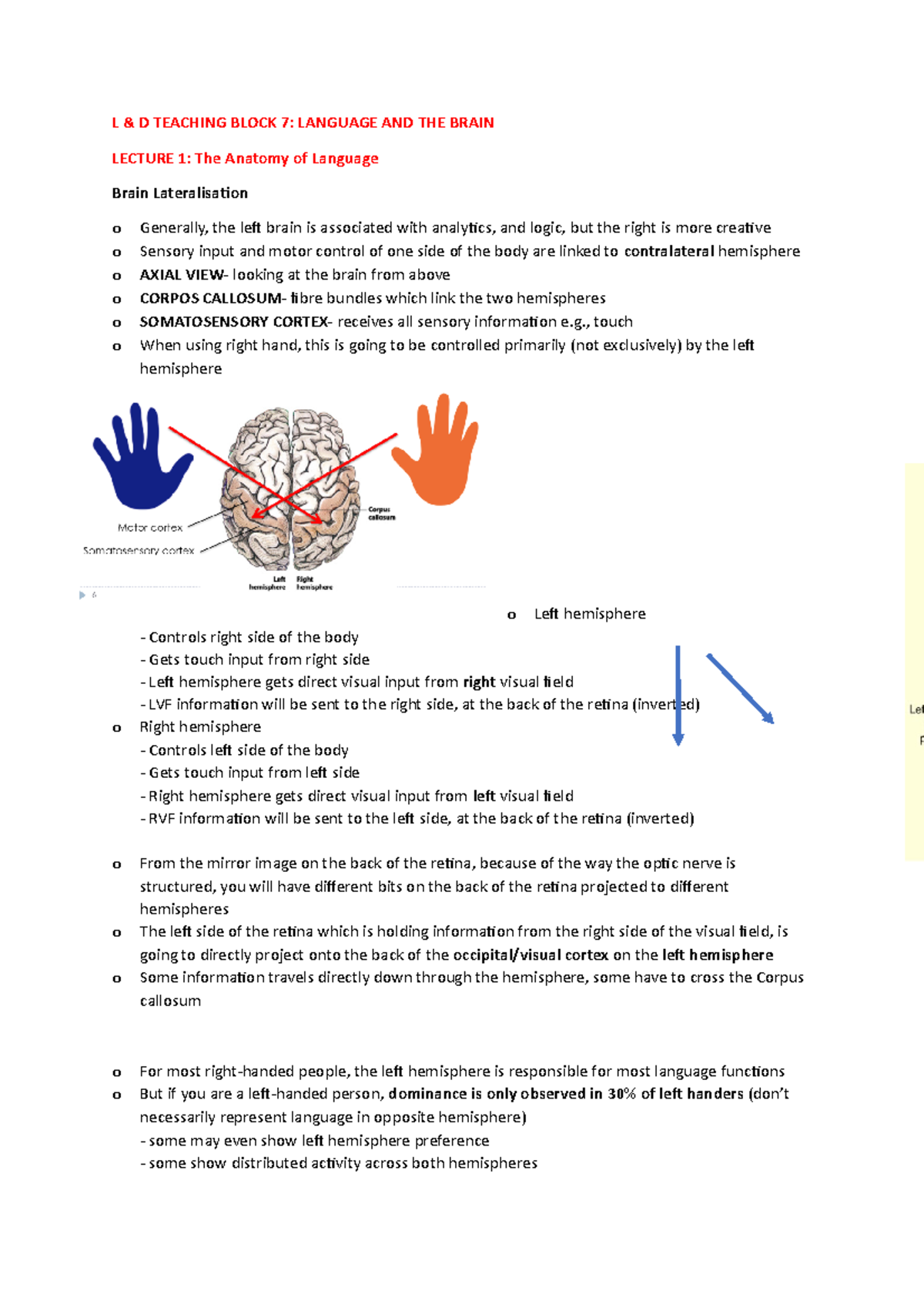 Language and the Brain 1 - PSY00004I - York - Studocu