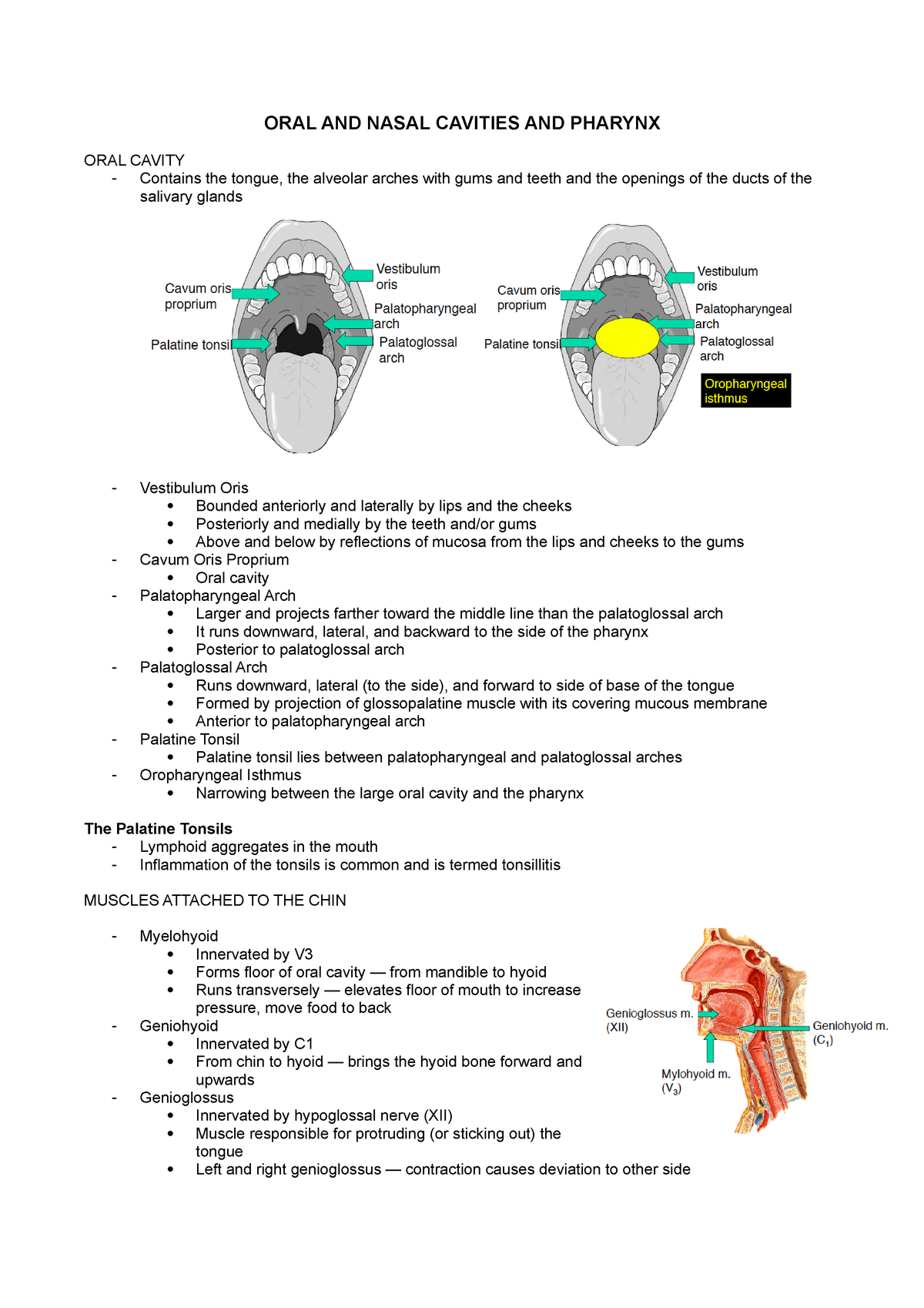 Oral and Nasal Cavities and the Pharynx ORAL AND NASAL CAVITIES