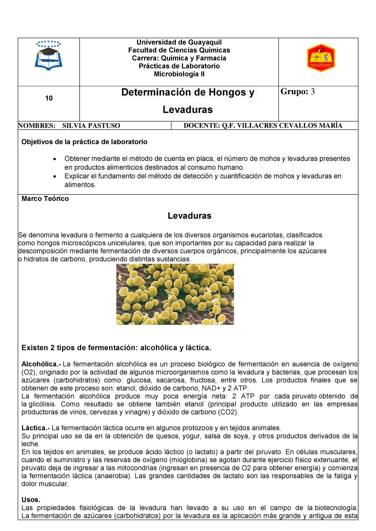 PDF) ACTIVIDAD ANTAGÓNICA DE LEVADURAS KILLER CONTRA HONGOS DEL