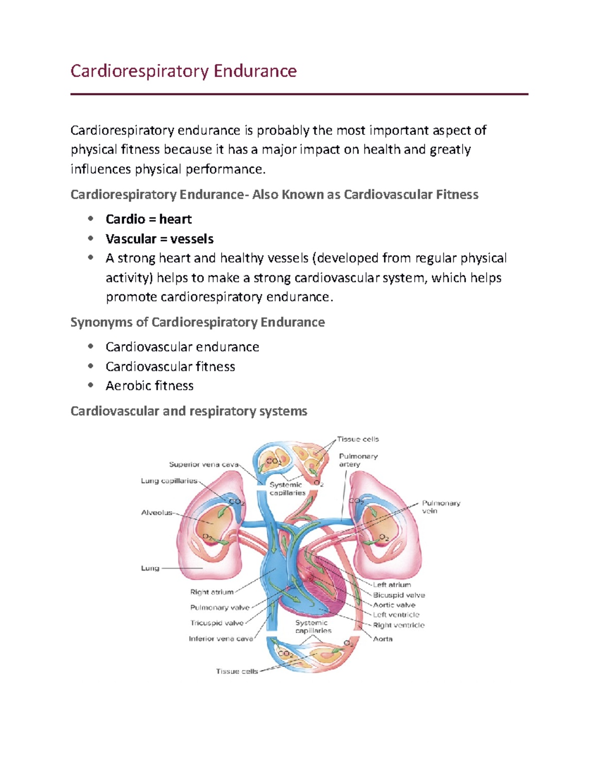 Concept 8 cardiorespiratory endurance Cardiorespiratory Endurance