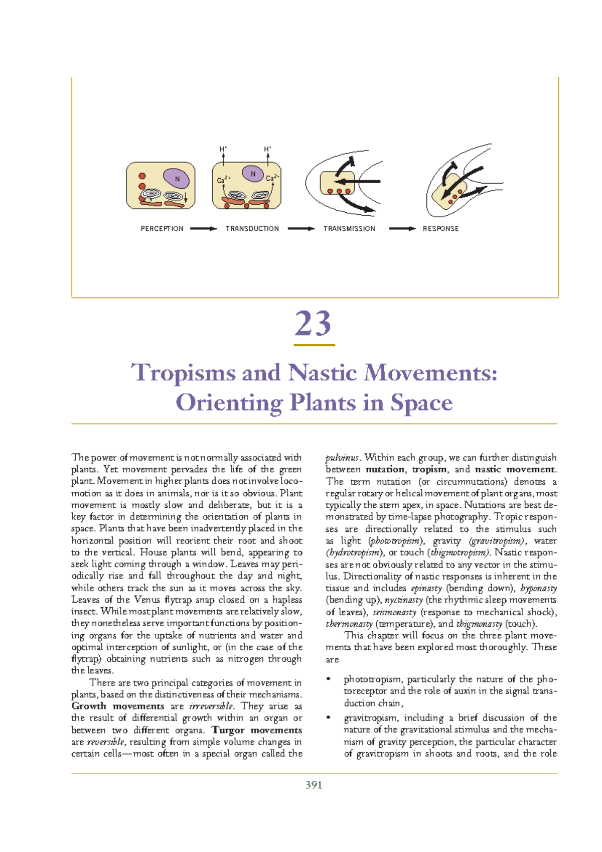 Chapter 23 - Tropisms and Nastic Movements - Ca2+ Ca2+ H+ N N H+ ...