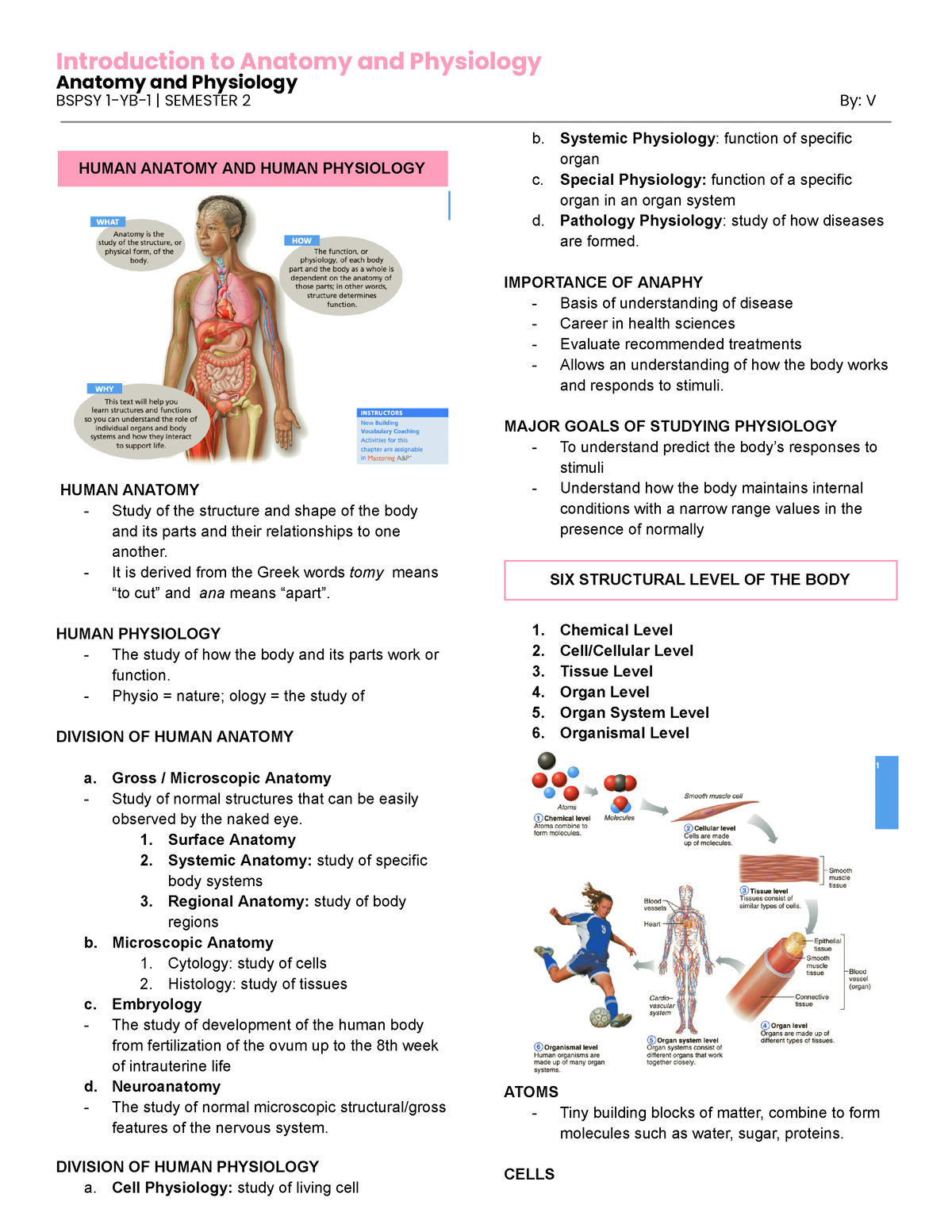 Introduction to Human Anatomy - Anatomy and Physiology BSPSY 1-YB-1 ...