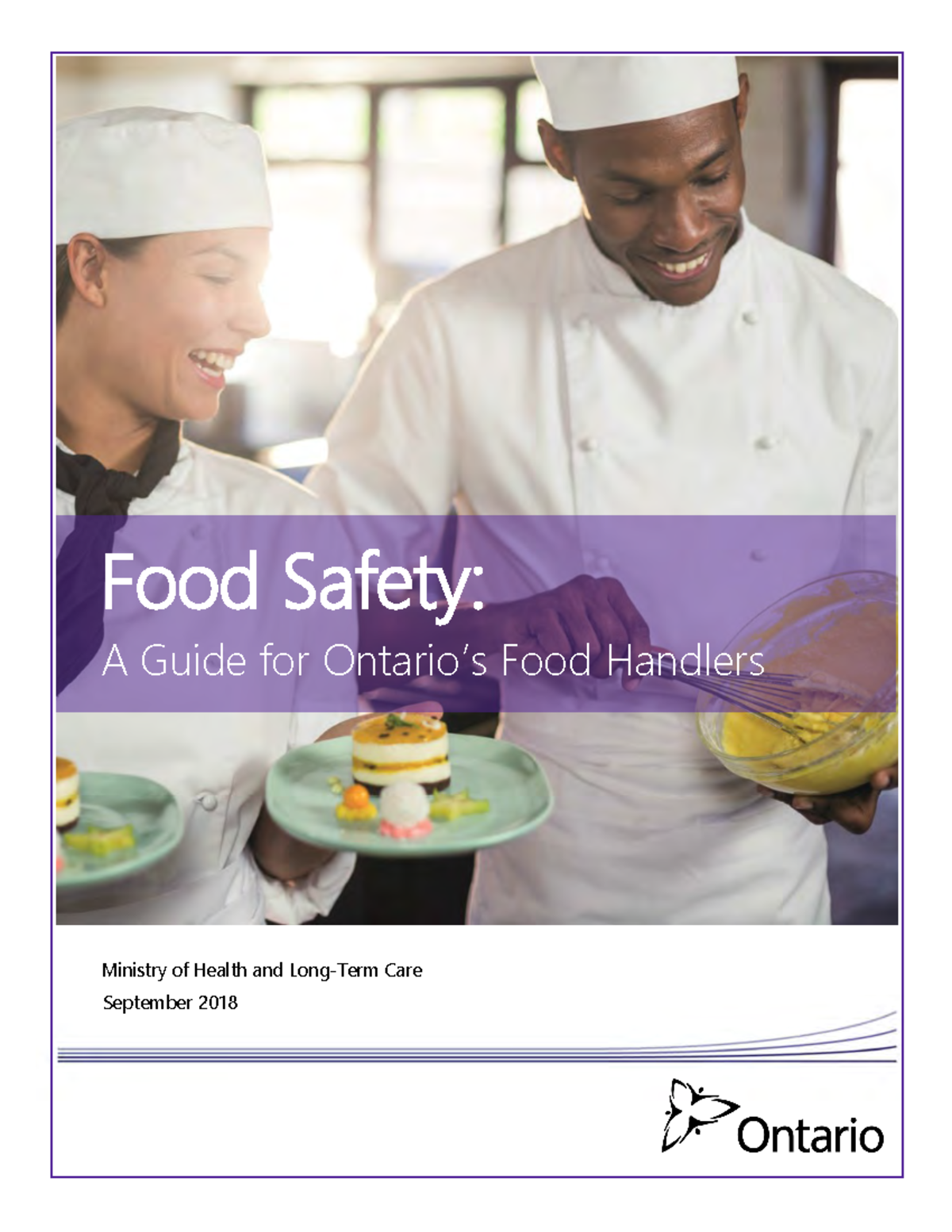 Training manual - FOOD - Ministry of Health and Long-Term Care Food ...