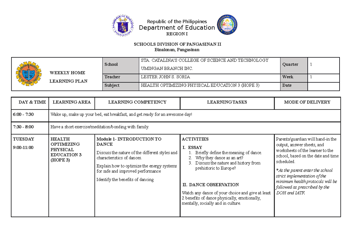 WHLP HOPE 3 - Lesson Plan - Republic of the Philippines Department of ...