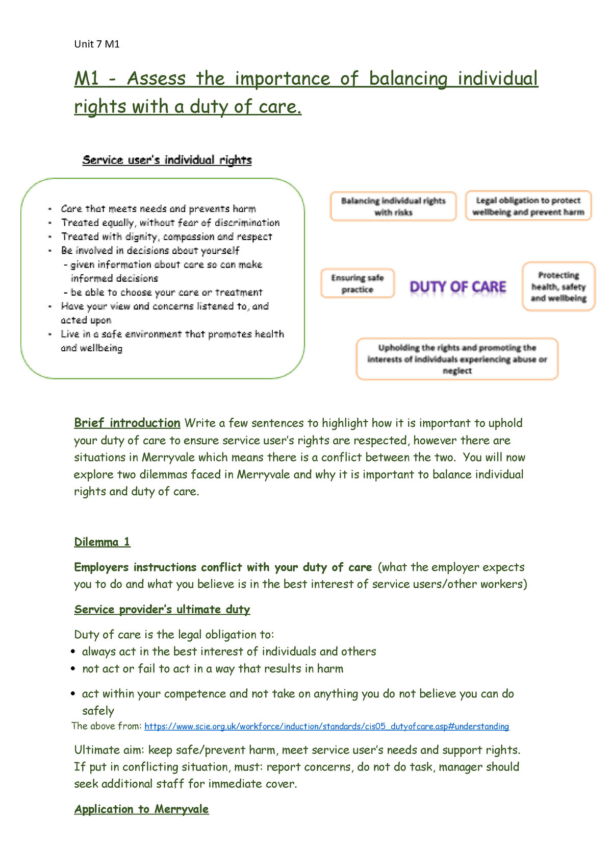 task-1-merit-guidance-1-m1-assess-the-importance-of-balancing