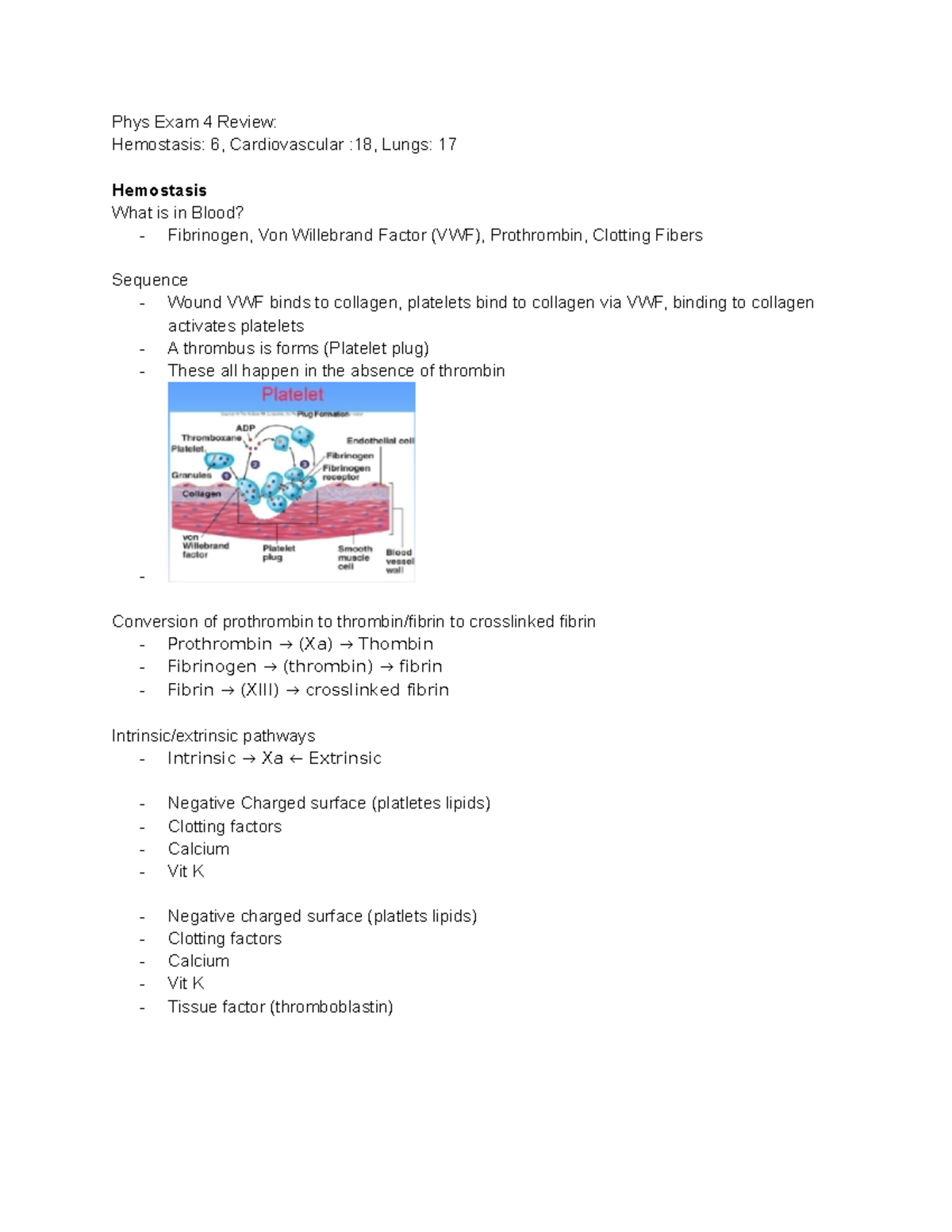 Phys Exam 4 Review Notes Phys Exam 4 Review Hemostasis 6