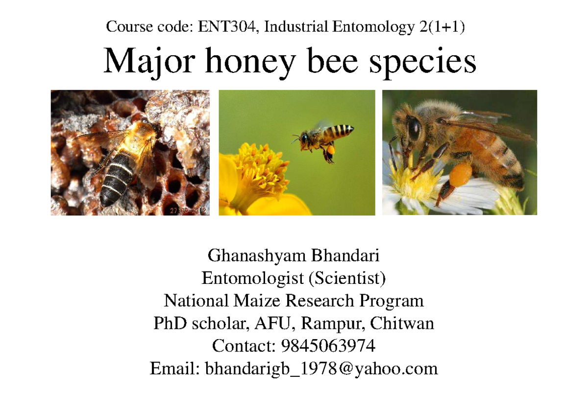 Lecture-4-Honey bee species - Course code: ENT304, Industrial ...