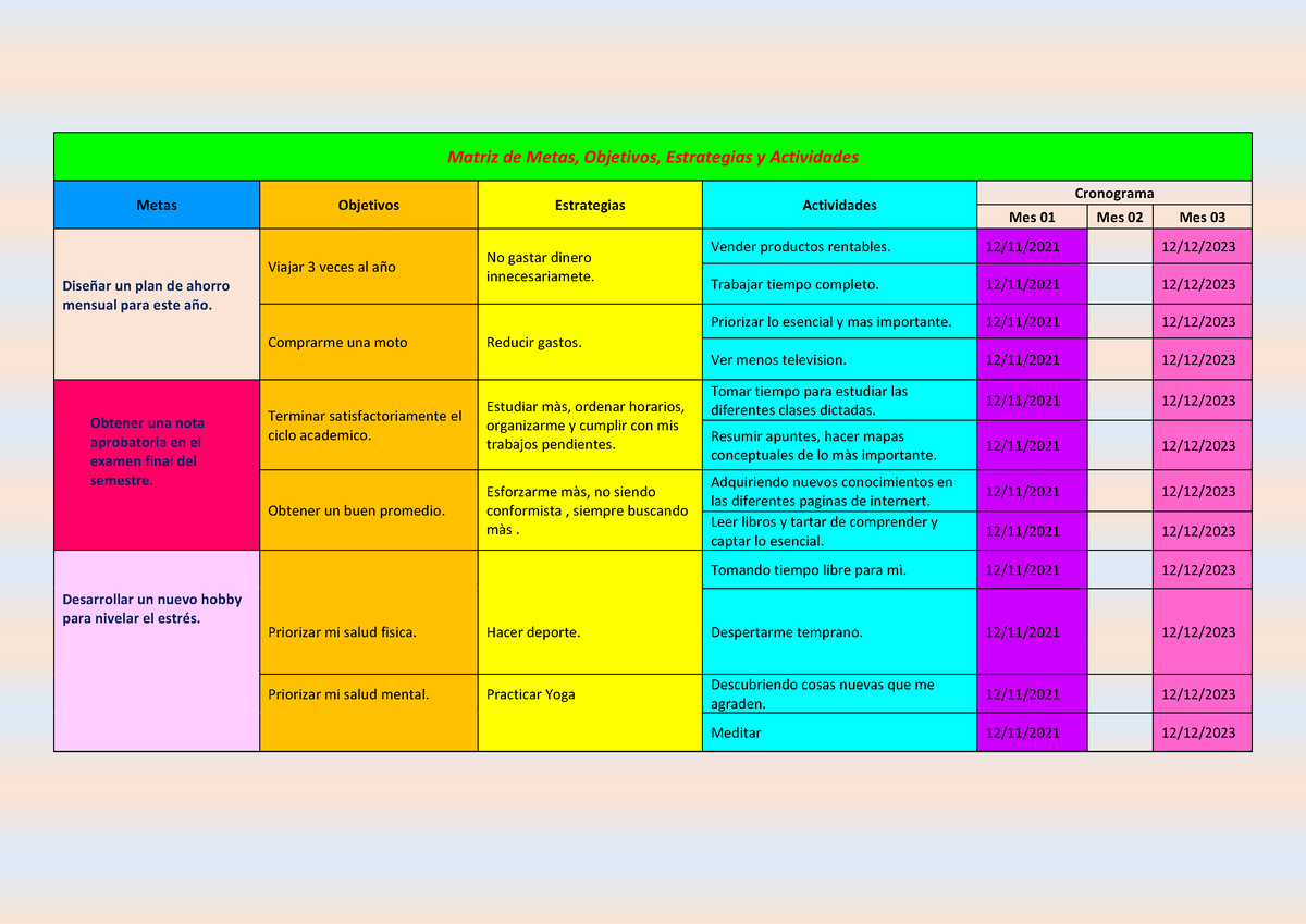 Matriz De Metas Objetivos Estrategias Y Actividades M 4795