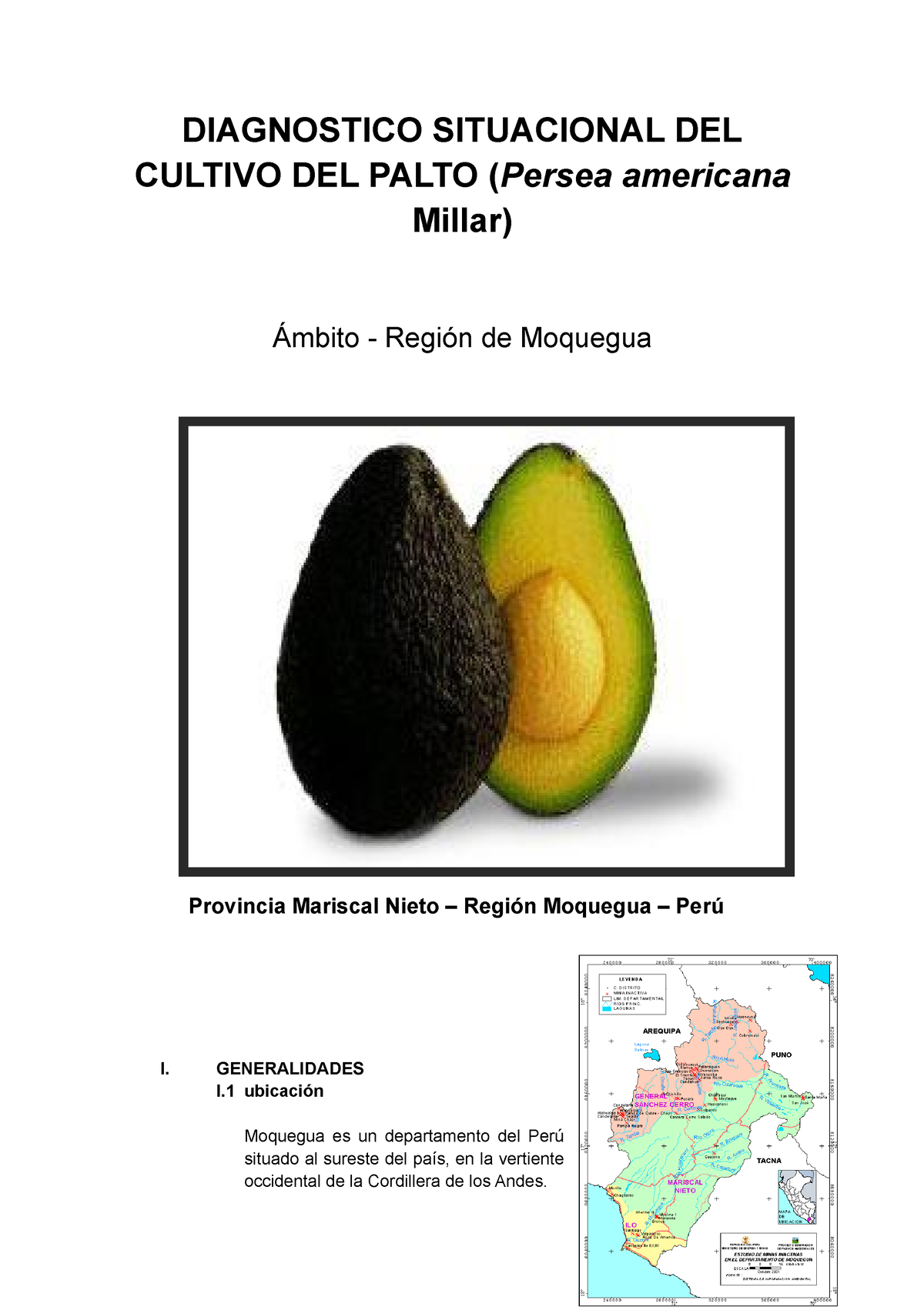 Diagnostico Situacional Del Cultivo Del Palto Diagnostico Situacional Del Cultivo Del Palto 7361