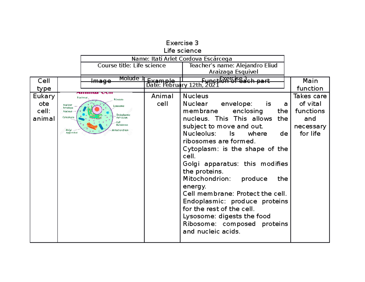 Exersice 3 Life science - Exercise 3 Life science Cell type Image ...