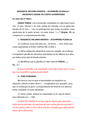 Denuncia Incumplimiento- Incidente DE Aumento 2 - DENUNCIA INCUMPLIMIENTO –  ACOMPAÑA PLANILLA – - Studocu