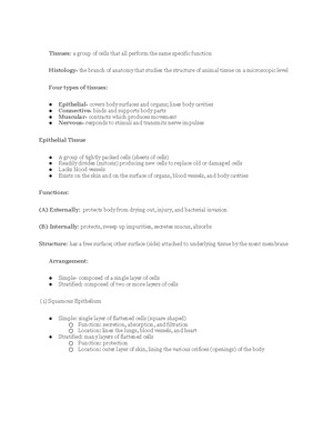 Chapter 5 Integumentary System - INTEGUMENTARY SYSTEM Includes: Skin ...