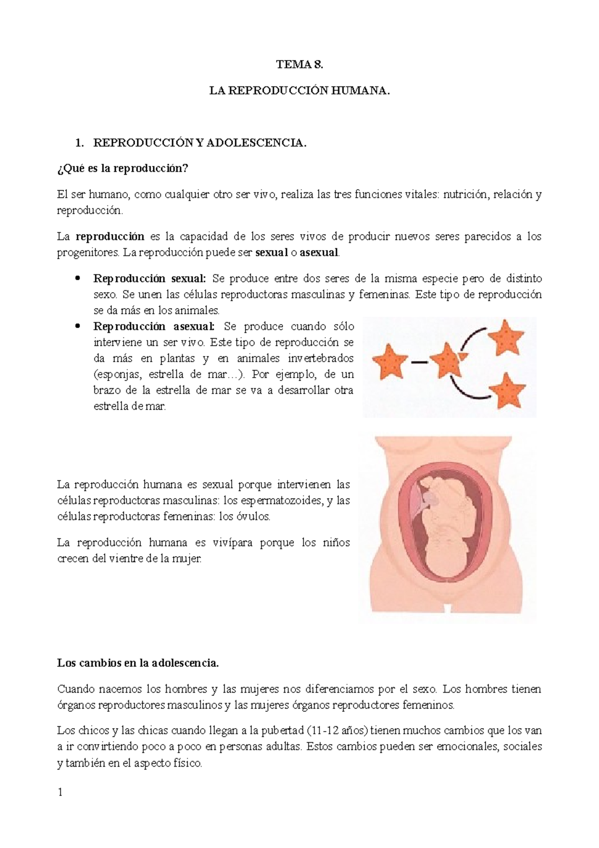 Apuntes T8 Biologia - TEMA 8. LA REPRODUCCIÓN HUMANA. 1. REPRODUCCIÓN Y  ADOLESCENCIA. ¿Qué es la - Studocu
