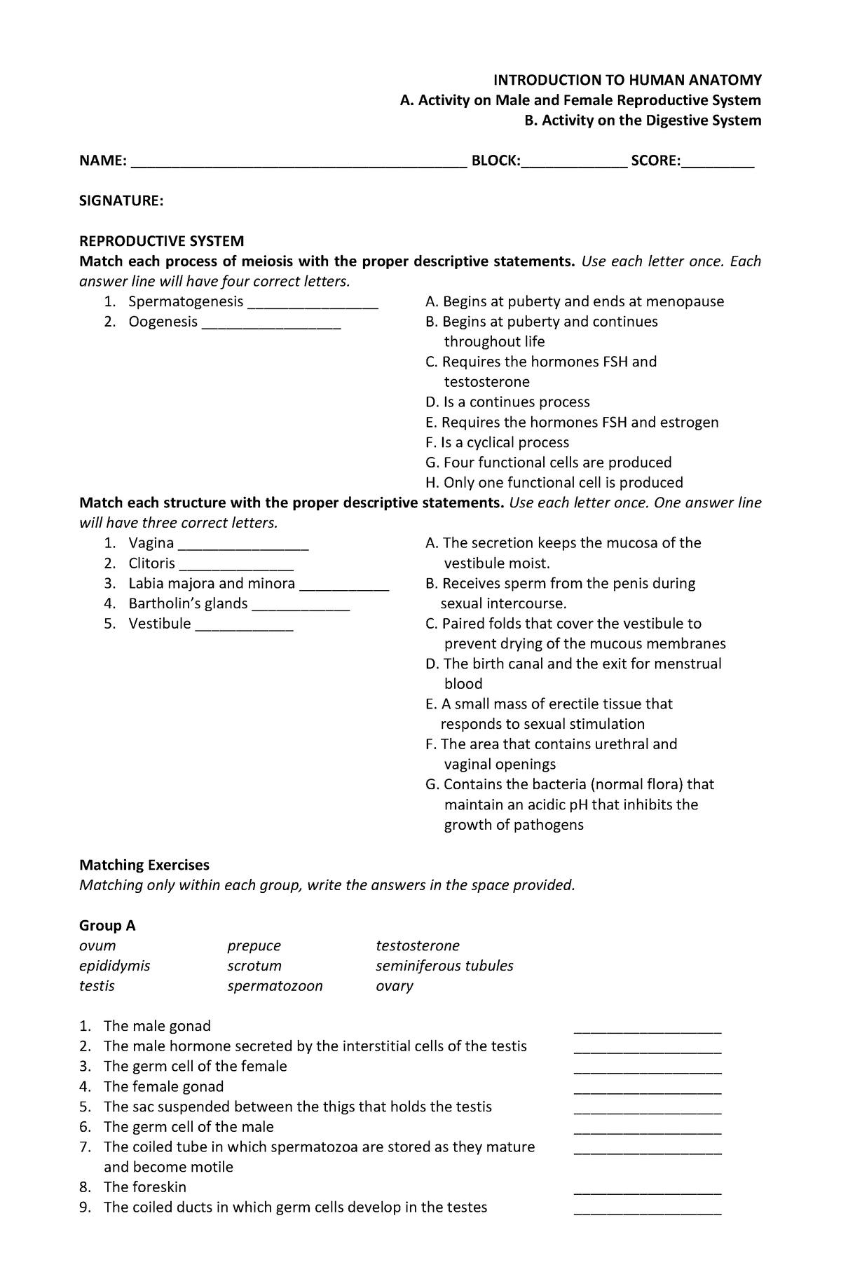 Activity ON Digestive AND Reproductive Systems - INTRODUCTION TO HUMAN ...