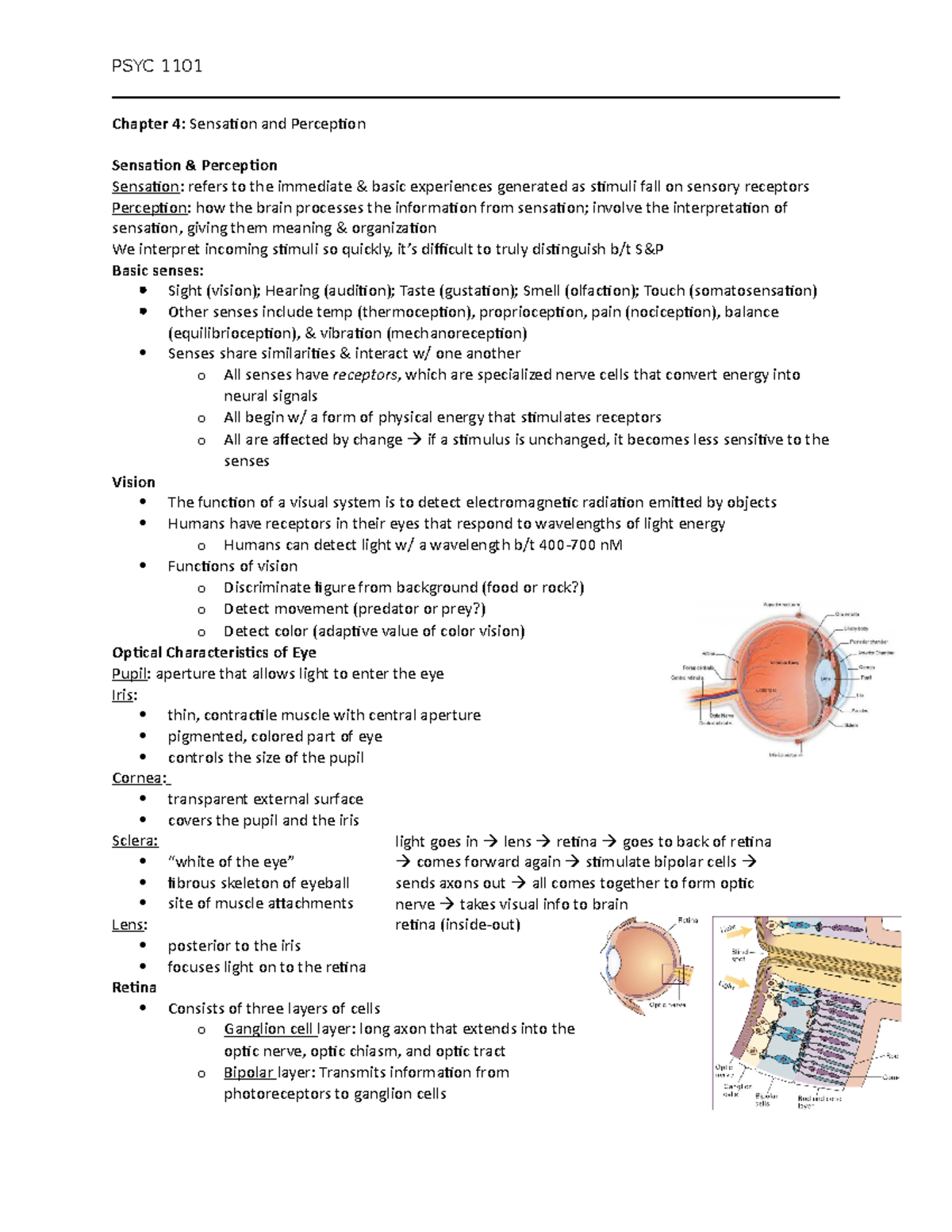 PSYC 1101 Notes for Chapter 4 - PSYC 1101 Chapter 4: Sensation and ...