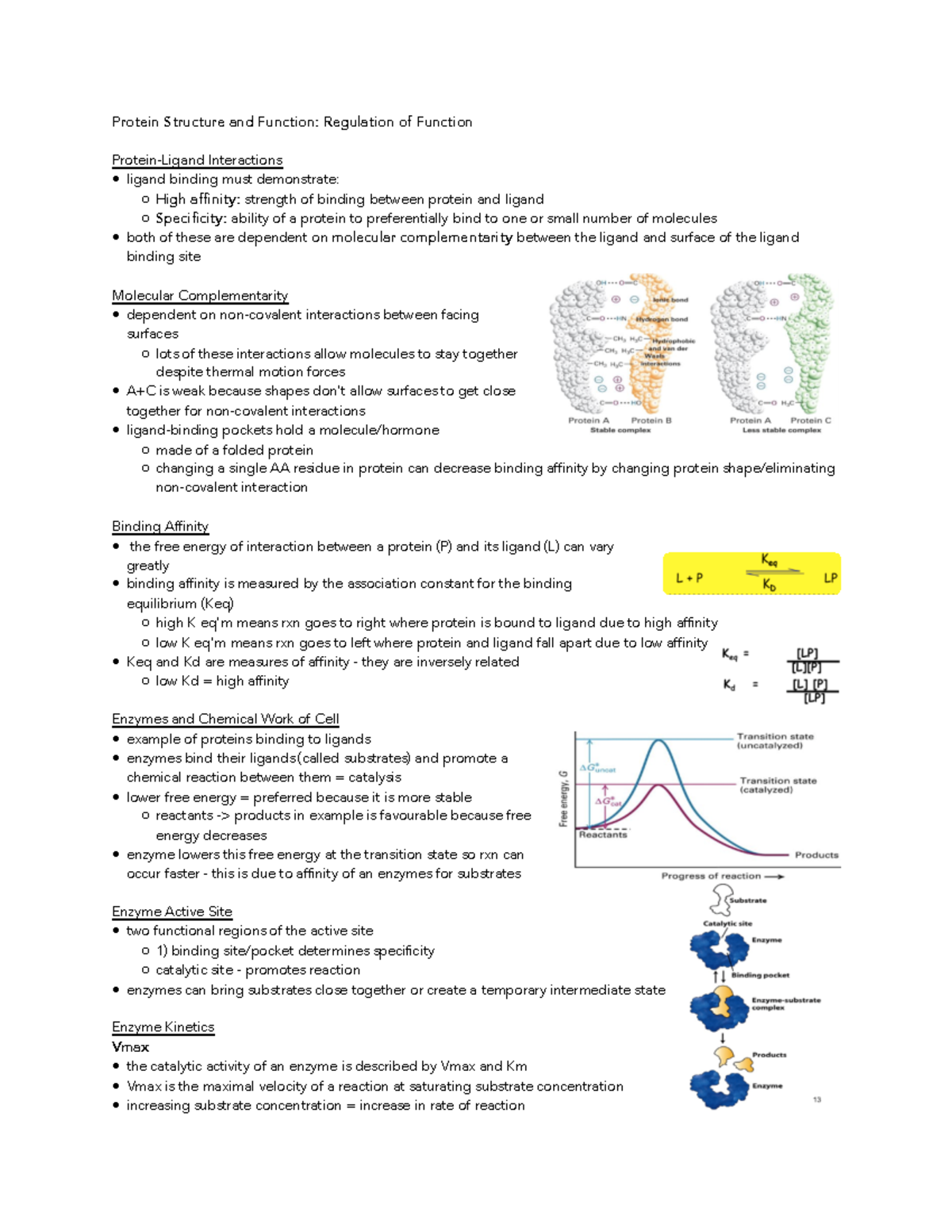 module-2-lecture-2-protein-structure-and-function-regulation-of