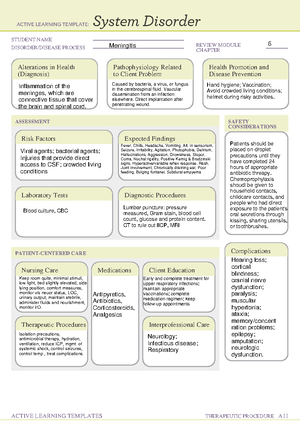 System Disorder Migraine Headaches - ACTIVE LEARNING TEMPLATES System ...