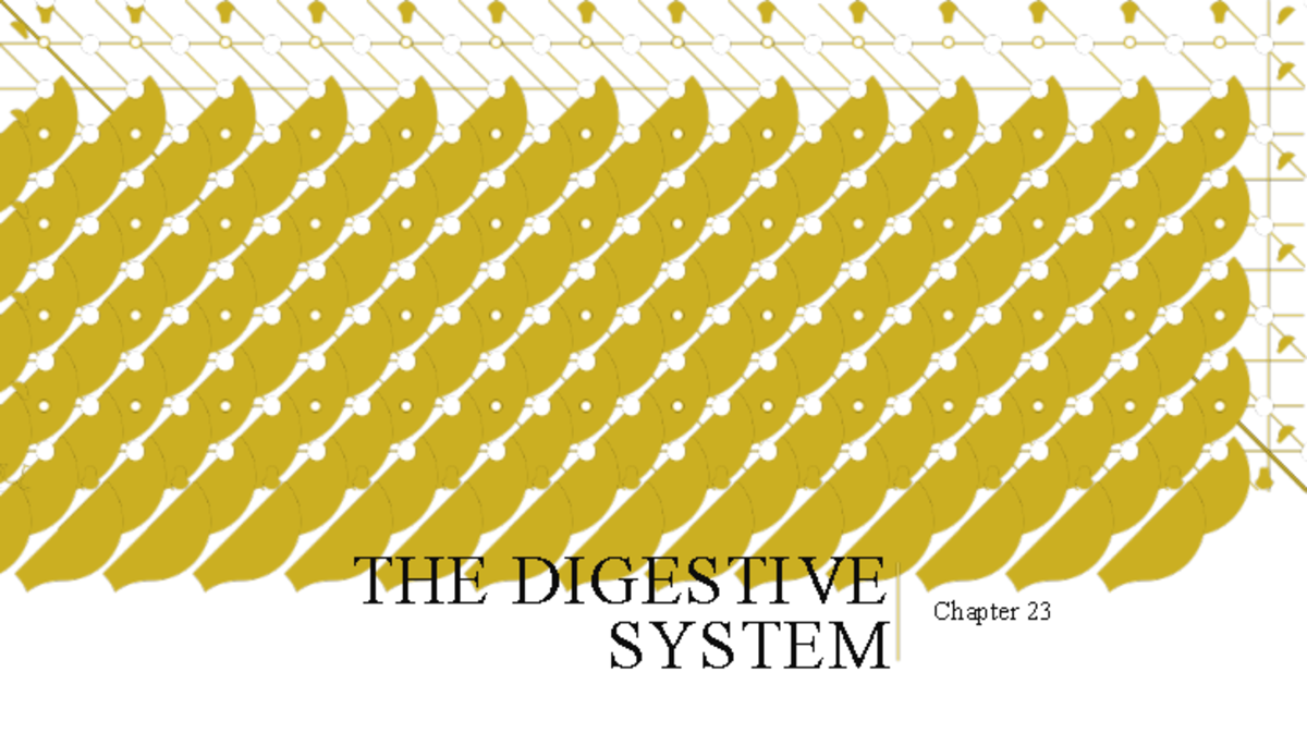Ch. 23 A Lecture Notes THE DIGESTIVE SYSTEM Chapter 23 EATING