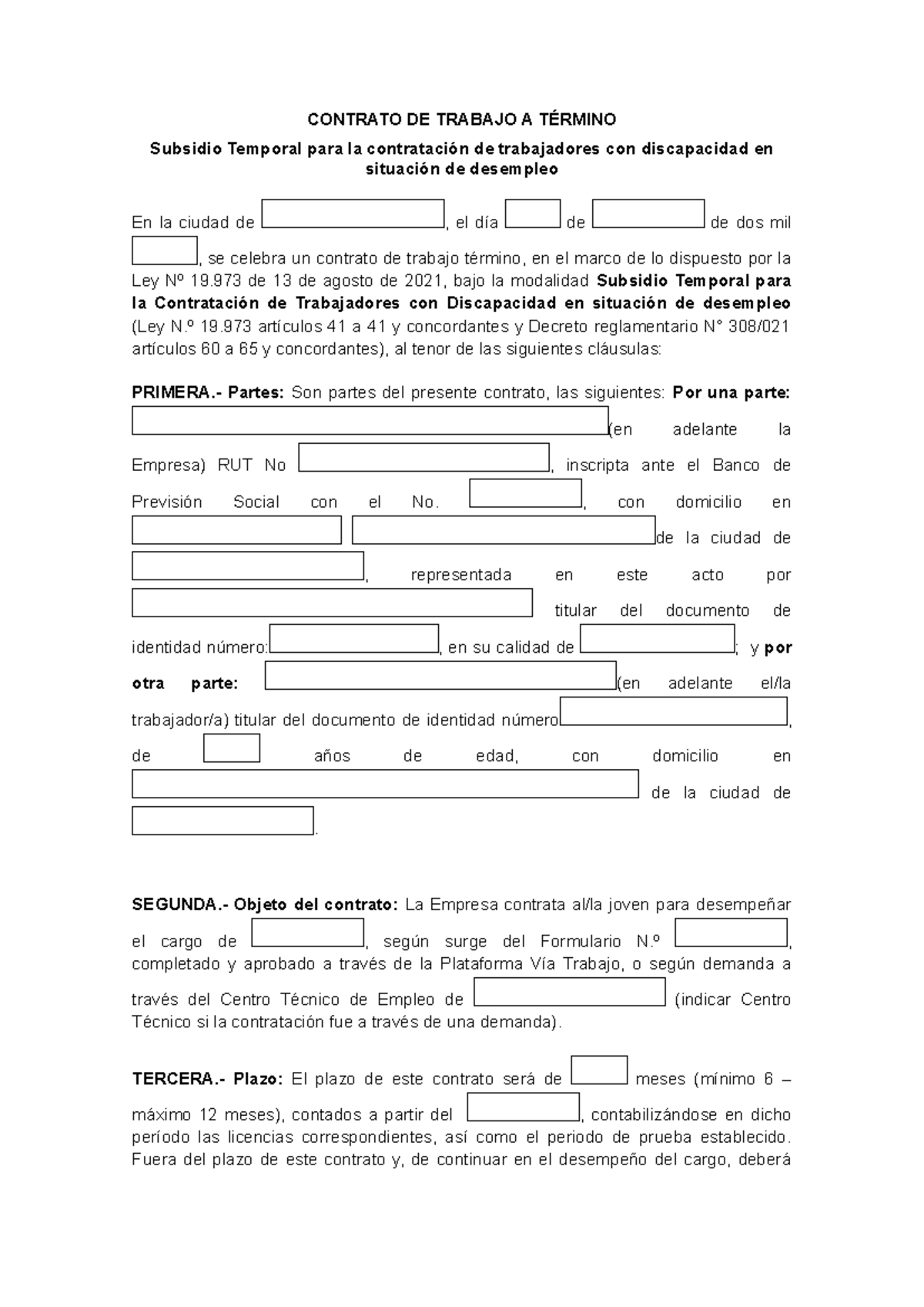 Empresa+-+Subsidio+para+la+contratación+de+personas+con+discapacidad+en ...