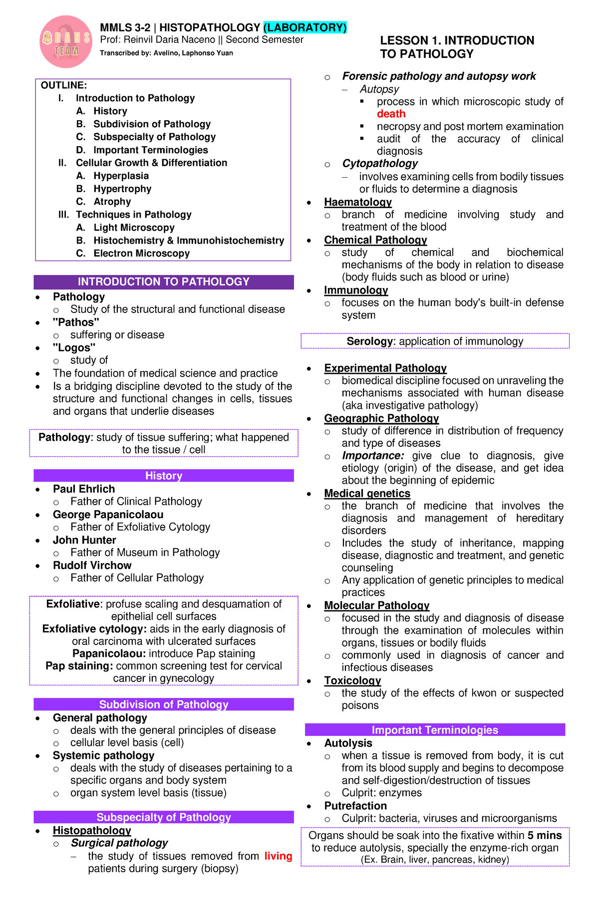 Histopath LAB Avelino Compiled Reviewer - MMLS 3-2 | HISTOPATHOLOGY ...