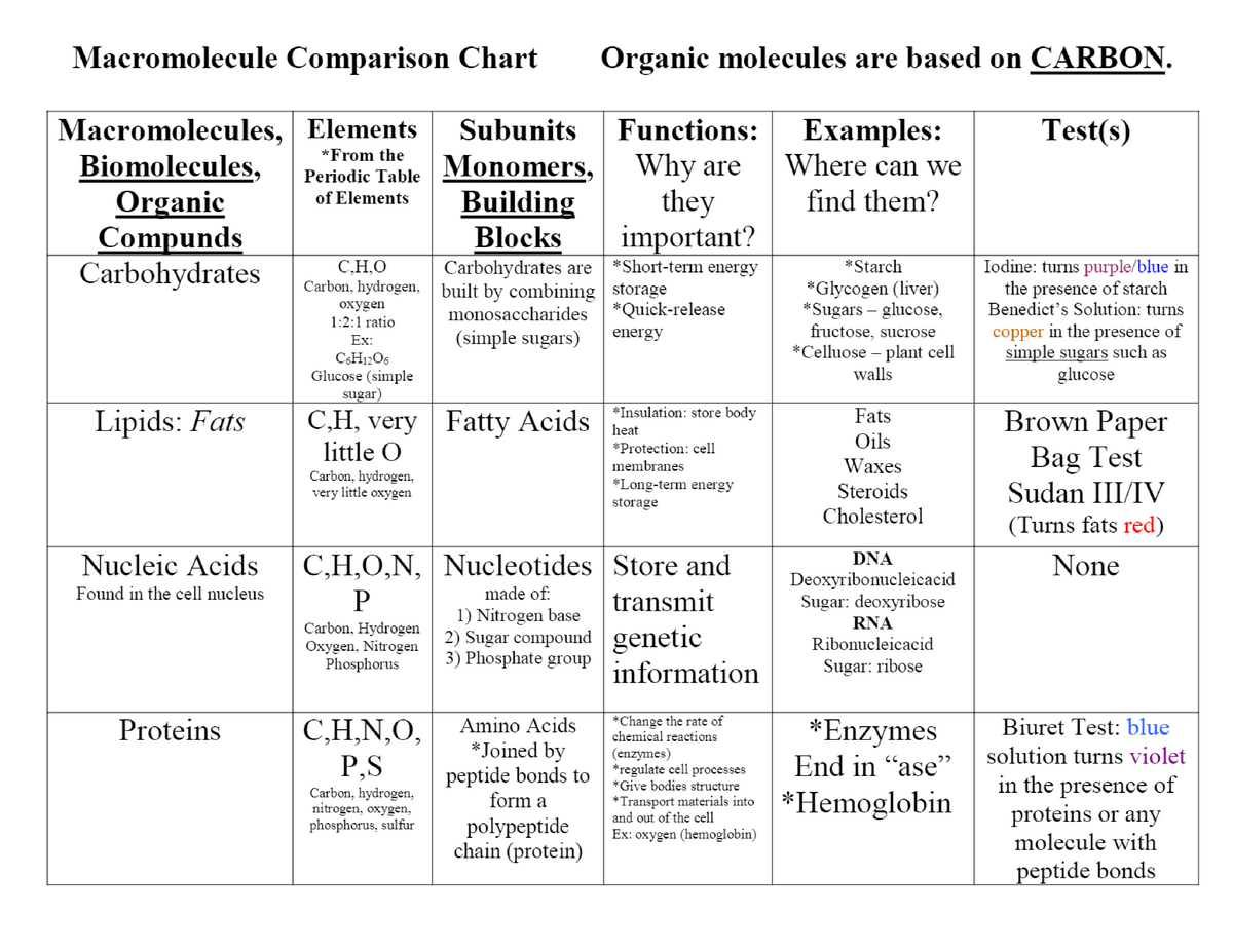 Macromolecule Comparison Chart Organic Bio201 Studocu