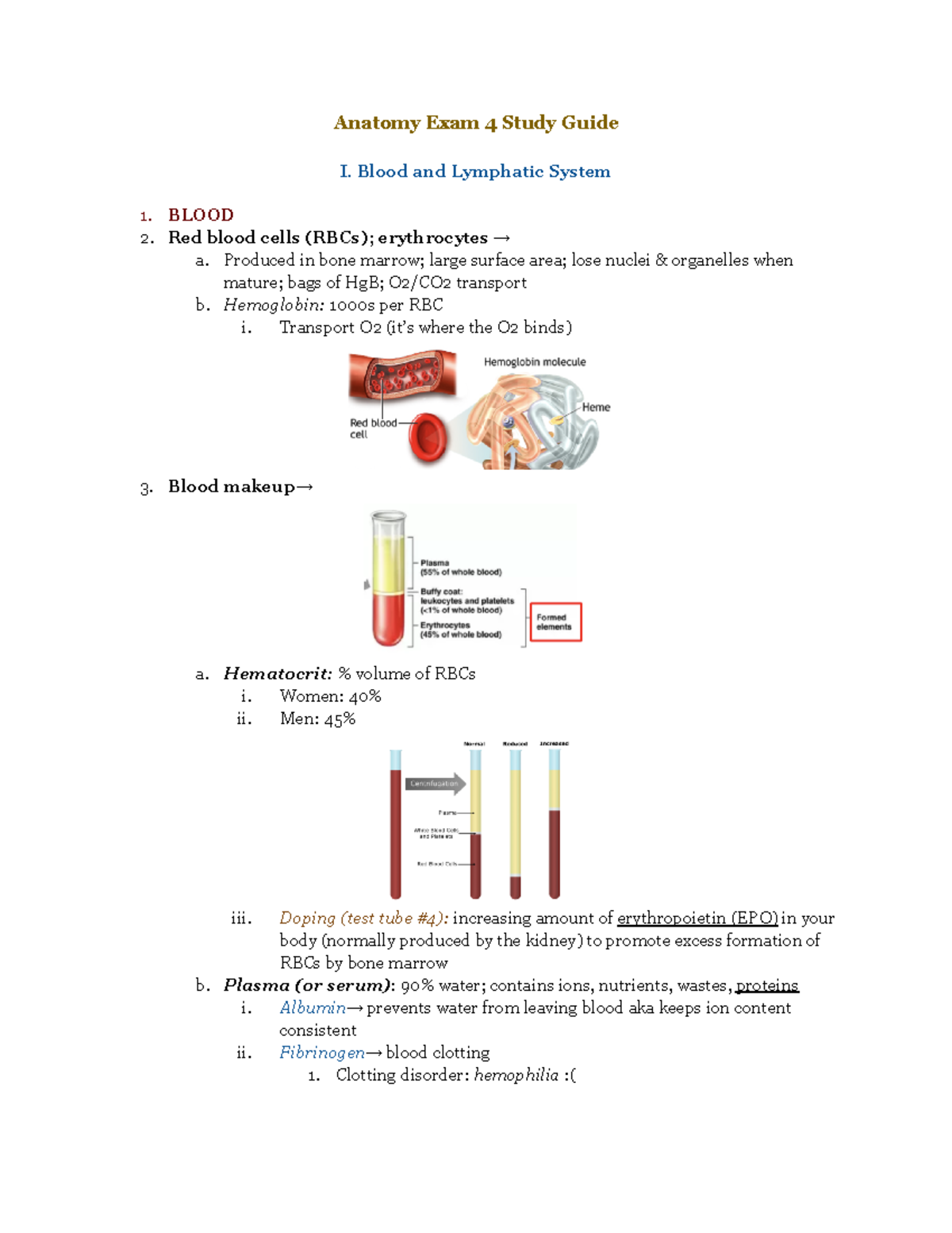 Anatomy Exam 4 Study Guide - Anatomy Exam 4 Study Guide I. Blood And 