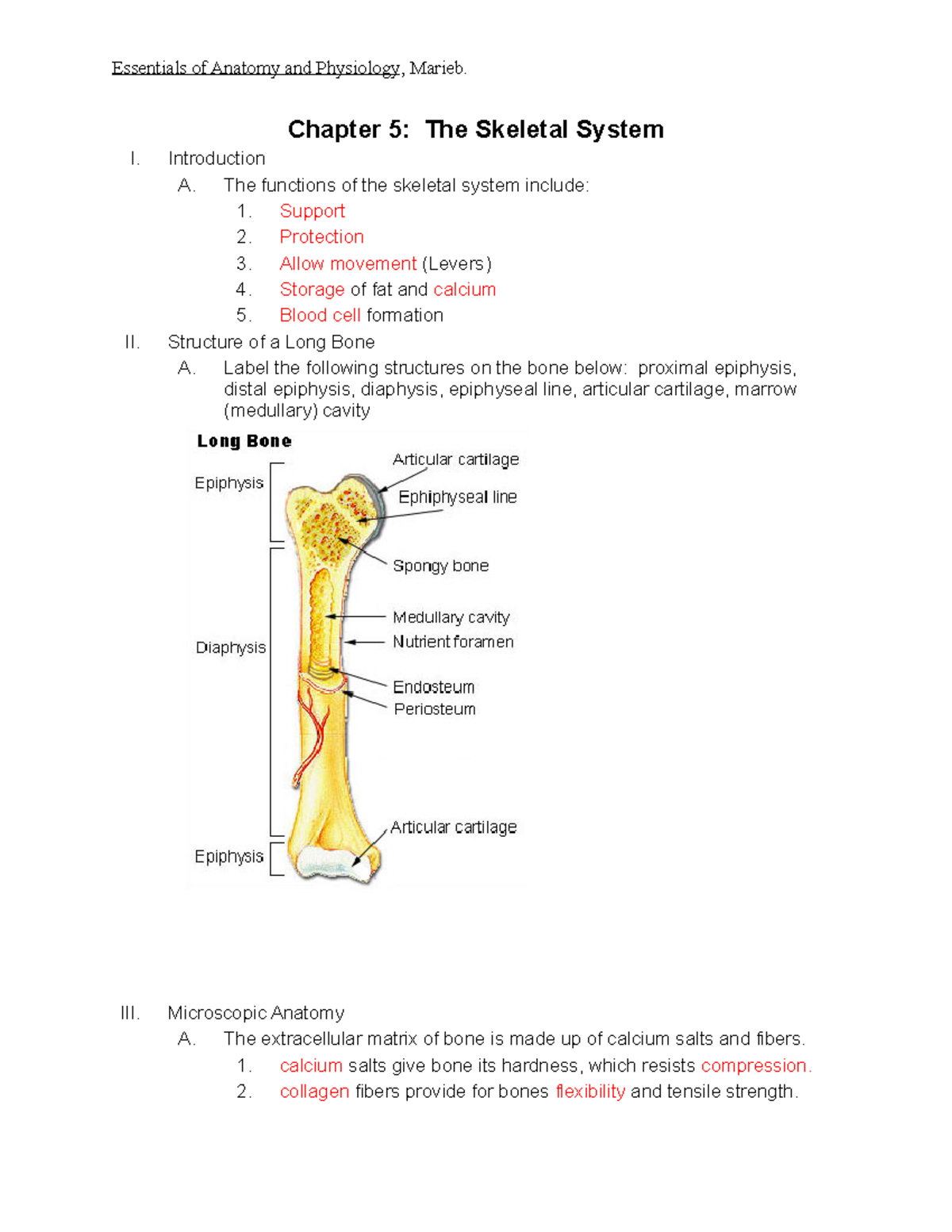 The Skeletal System - questions with answers and pictures - Essentials ...