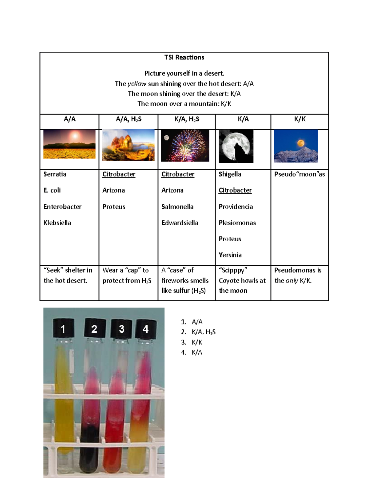 TSI Reactions - TSI Reactions Picture yourself in a desert. The yellow ...