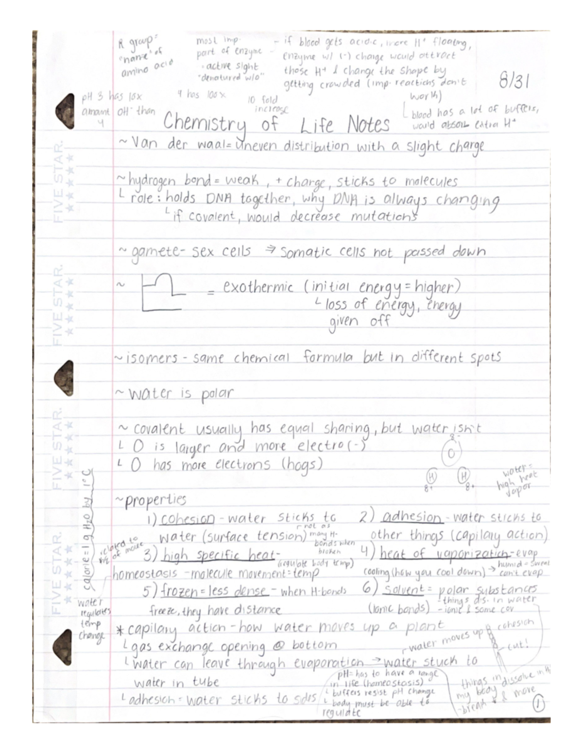 Chemistry of Life Notes BIO 150 Studocu