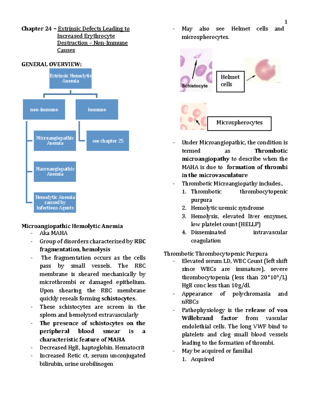 Extrinsic Defects Leading To Increased Erythrocyte Destruction Immune