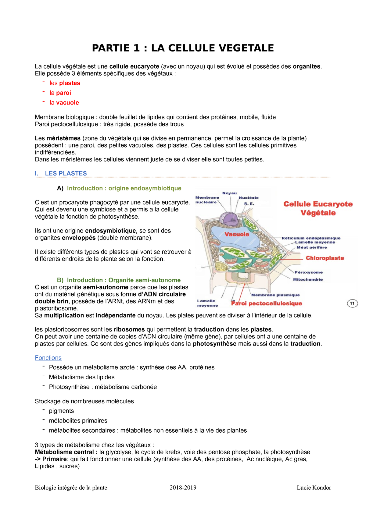 2 La Cellule Végétale Biologie Intégrée De La Plante - 