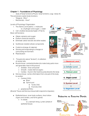 Chapter 1 Introduction to Physiology - Introduction to Physiology o ...