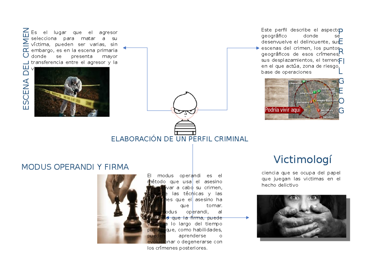 Elaboración de un Perfil Criminal - ELABORACIÓN DE UN PERFIL CRIMINAL