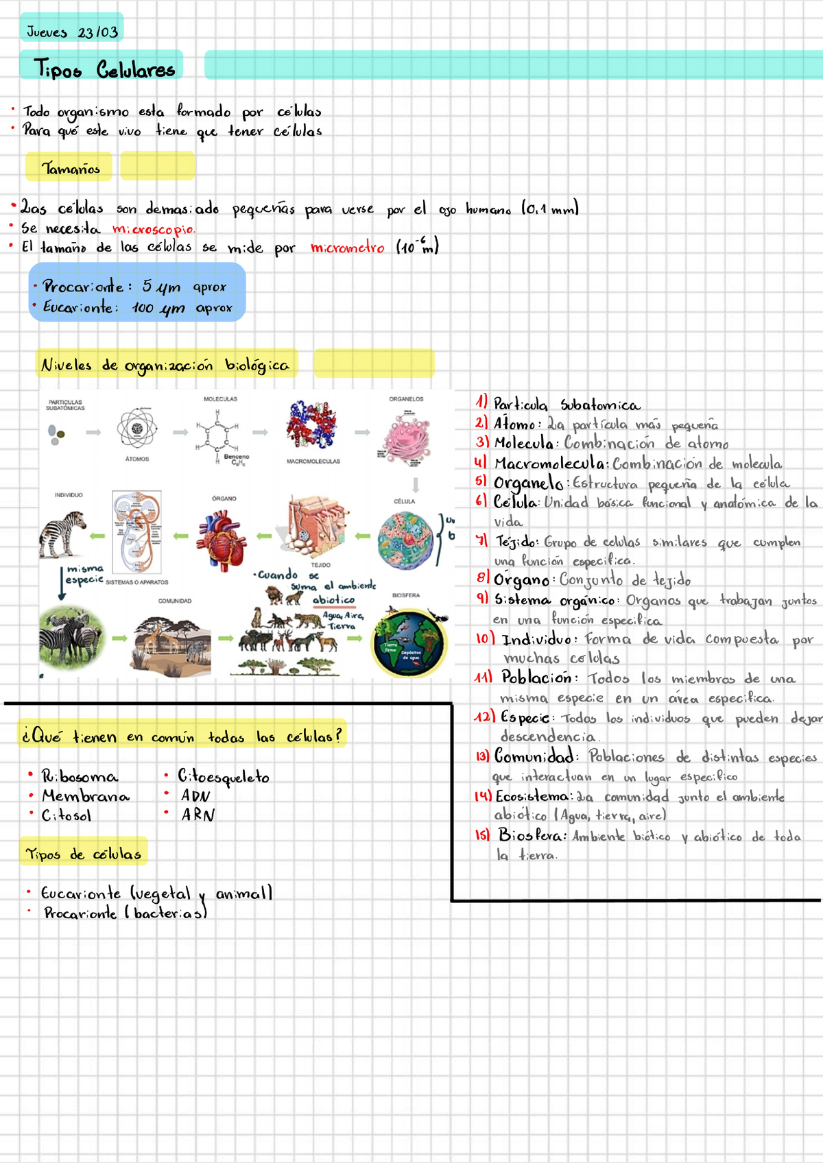 Resumen Biología Unidad 1 - Biología Celular - Studocu