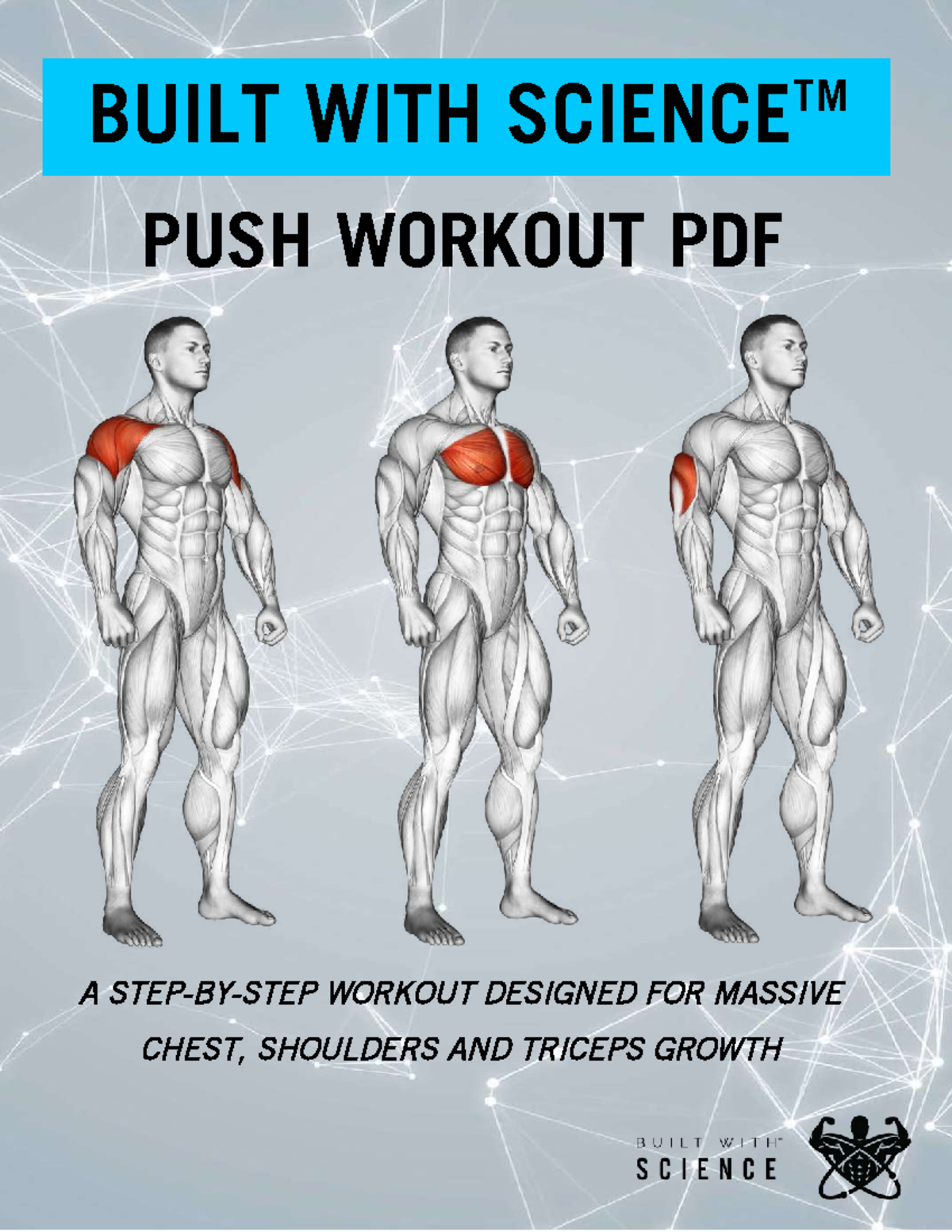 Chest and discount triceps workout pdf