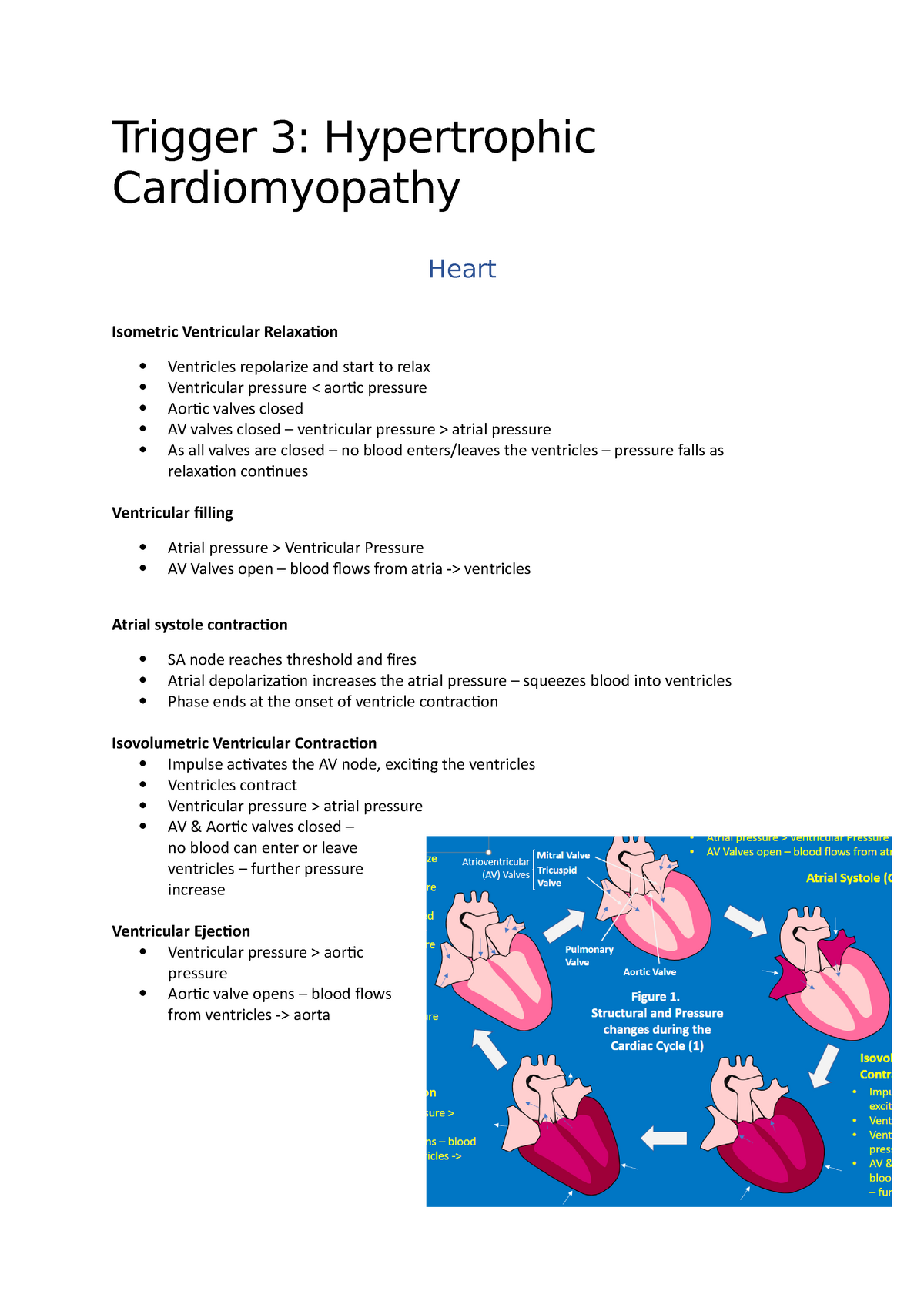 Hypertrophic Cardiomyopathy - Trigger 3: Hypertrophic Cardiomyopathy ...