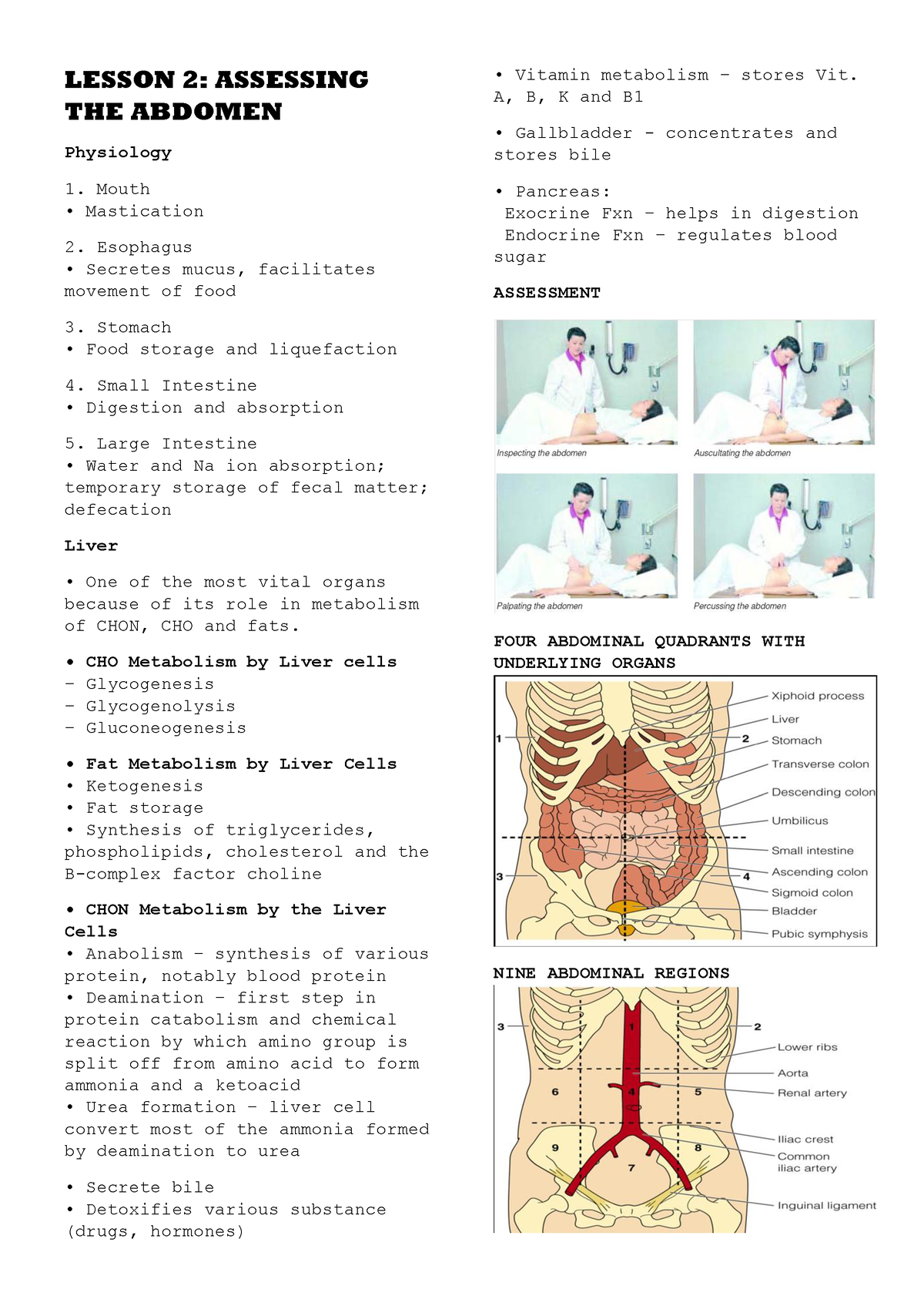 lab assignment assessing the abdomen