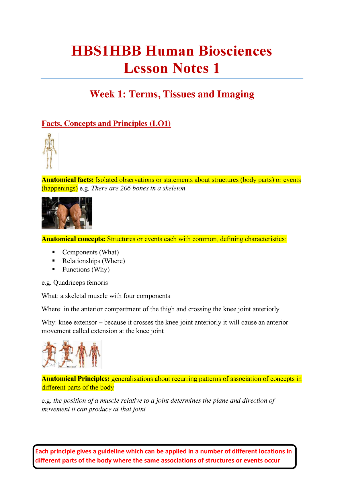 HBS1HBB Human Biosciences Lesson Notes 1 Week 1: Terms Tissues And ...