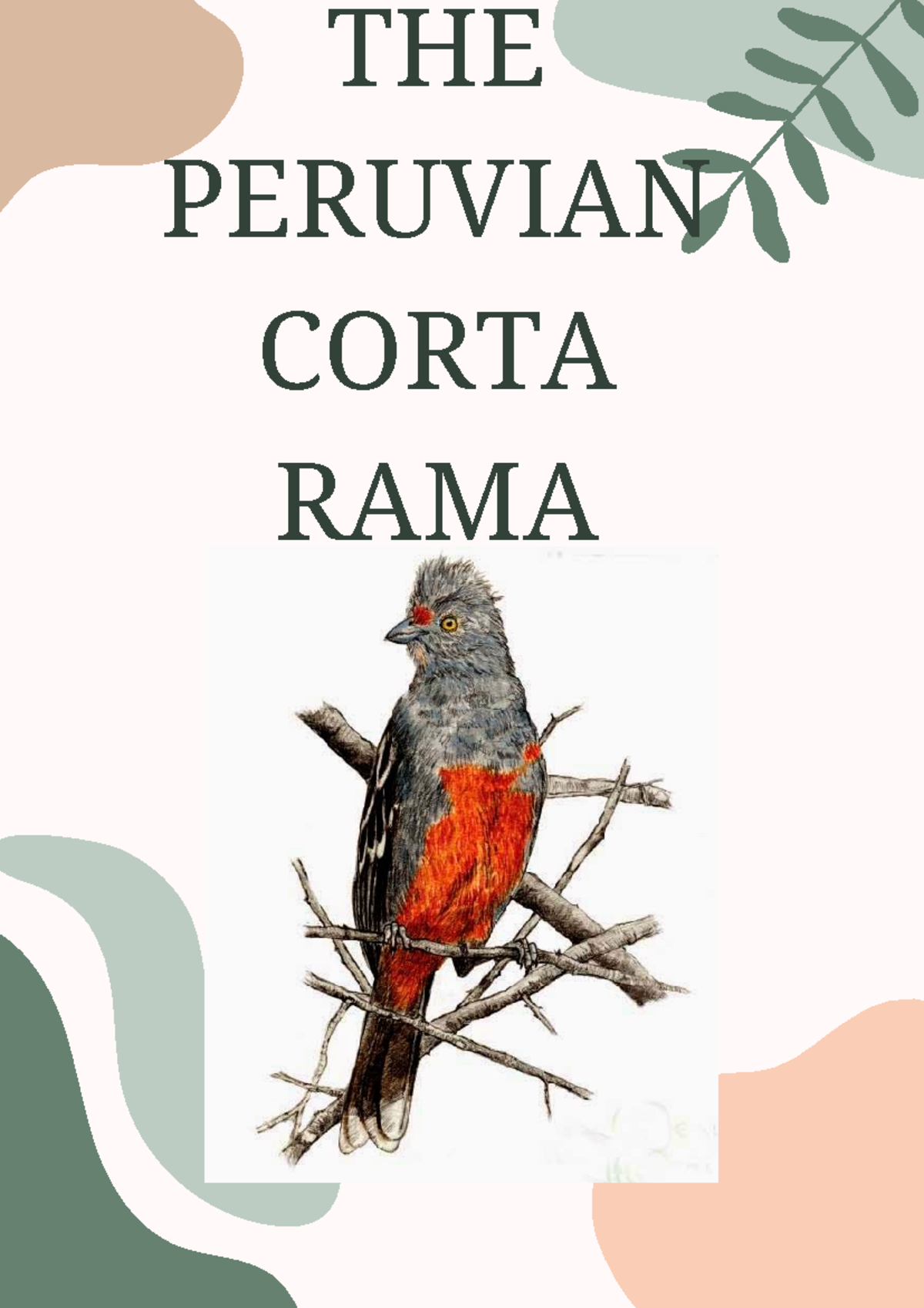 Corta rama trabajo completo - THE PERUVIAN CORTA RAMA The branch cutter ...