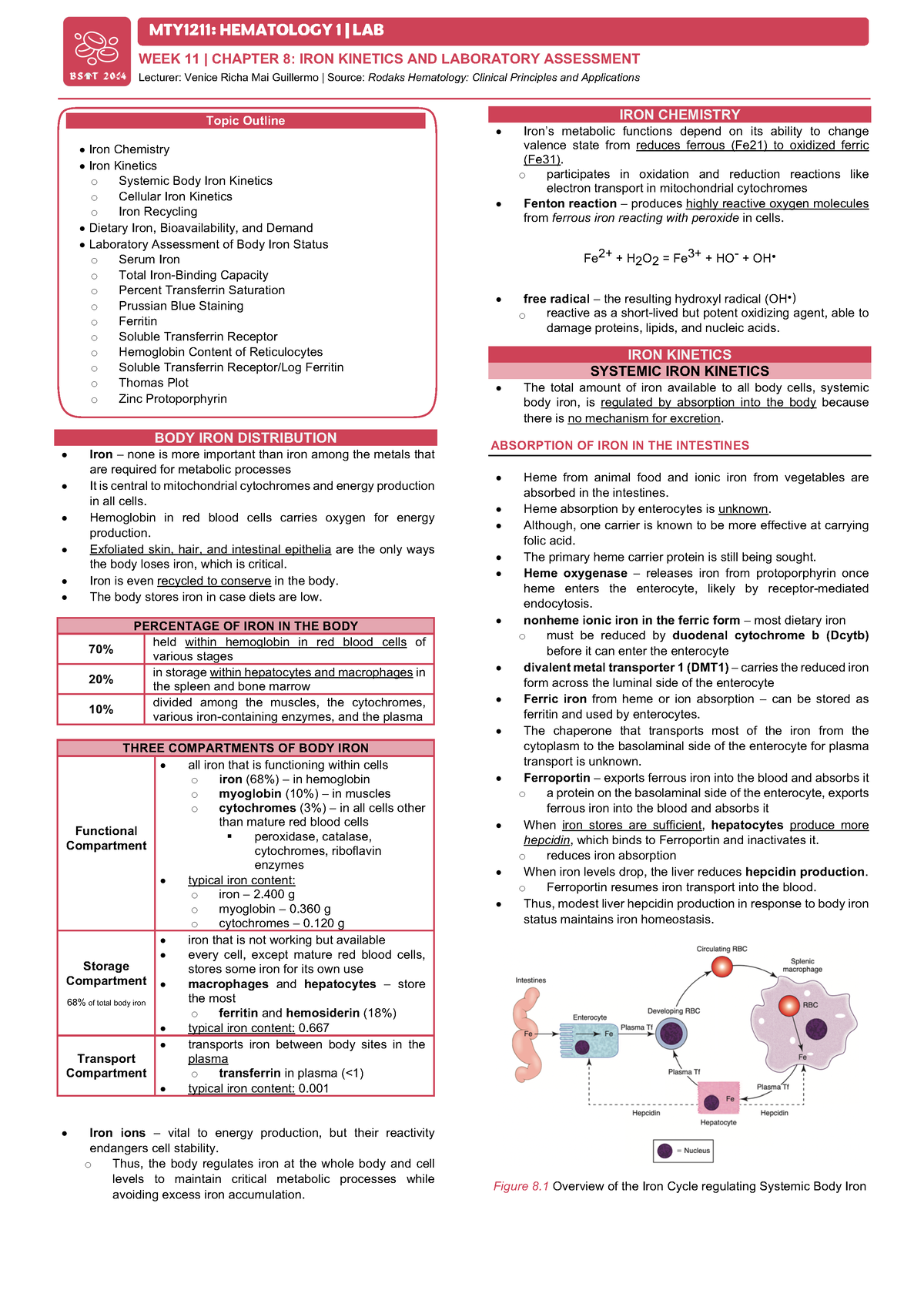 Week11 Iron Kinetics and Laboratory Analysis - MTY1211: HEMATOLOGY 1 ...