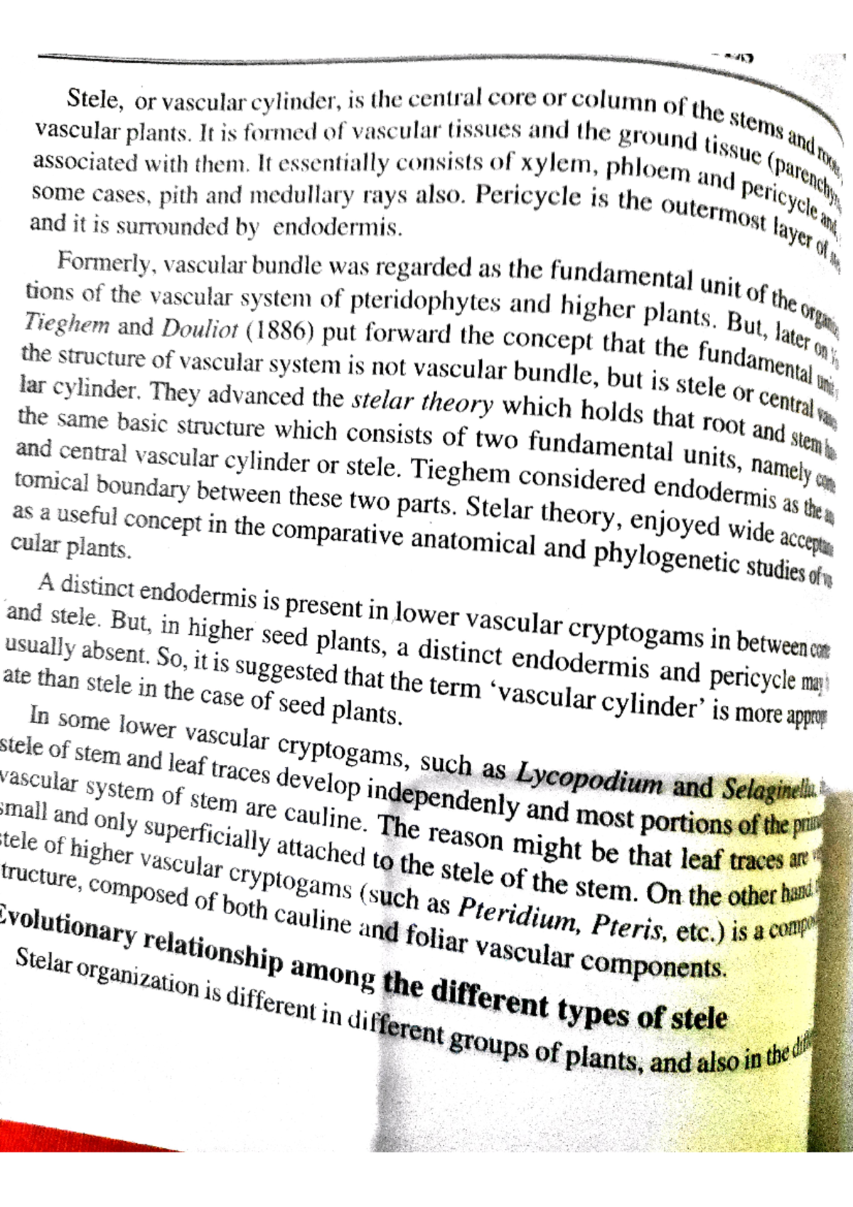 Stelar evolution and economic importance of pteridophytes - Bryology ...