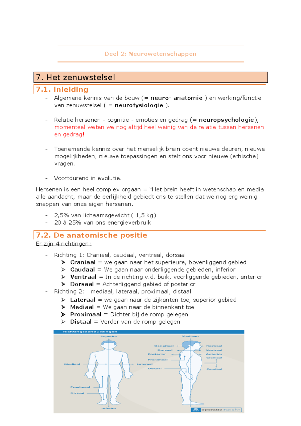 Begin Neurowetenschappen: Tot En Met Cellen Van Het Zenuwstelsel - Deel ...