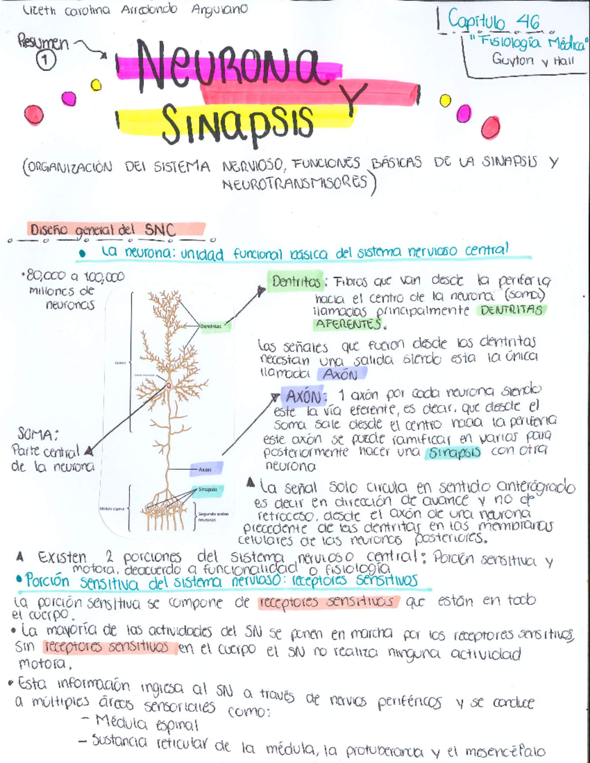 Neurona Y Sinapsis Lizeth Arredondo - Fisiología - Studocu