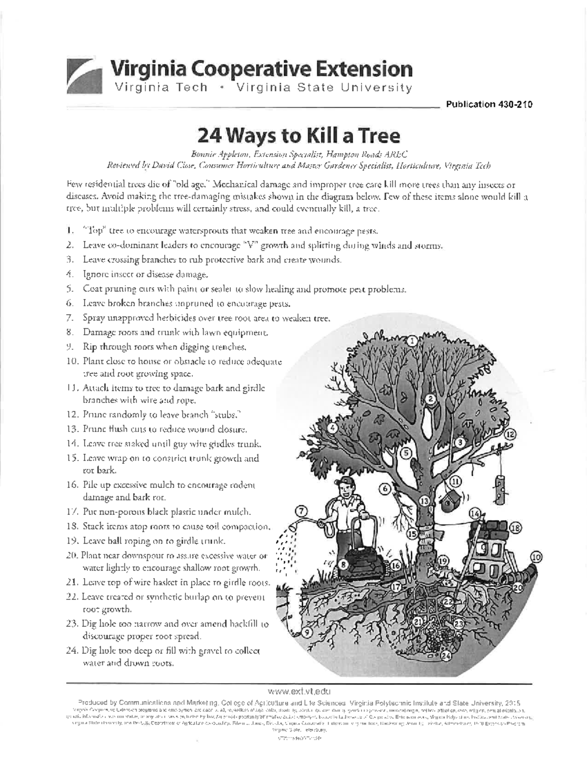24Ways To Kill ATree - Virginia Cooperative Extension on Tree