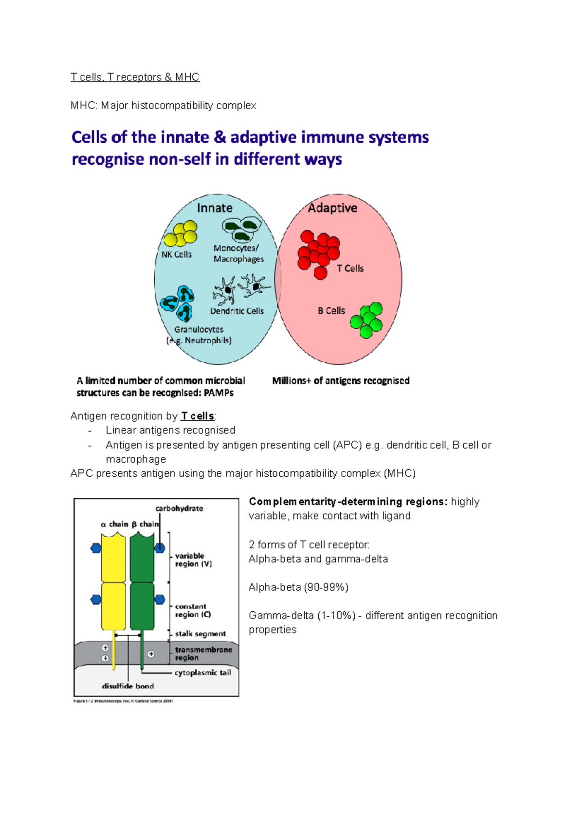 Immunology - lecture 6 (T cells, T cell receptors MHC) - T cells, T ...