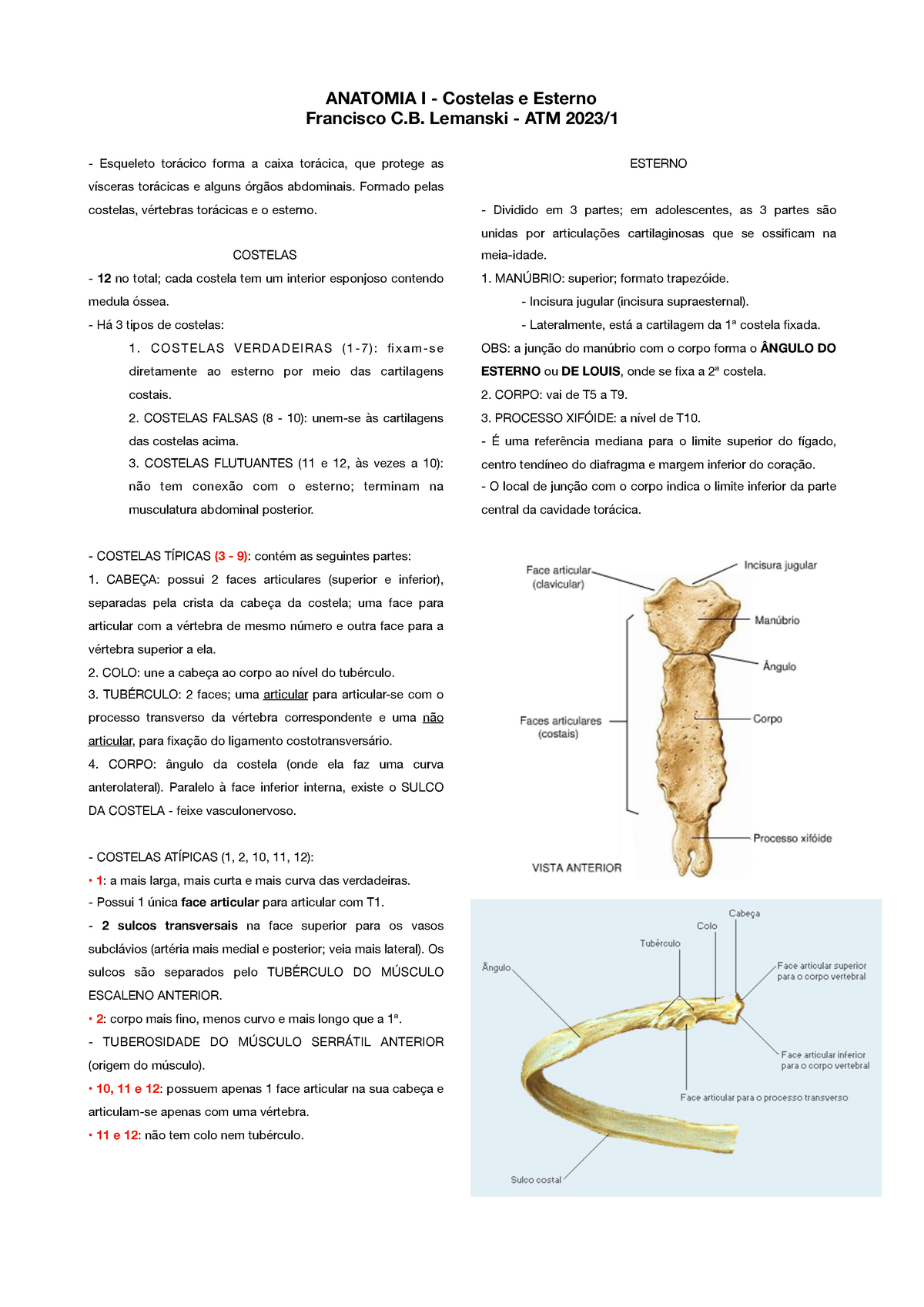 Costelas E Esterno Resumo Moore Fundamentos De Anatom A Con Orientaci N Cl Nica Anatomia I