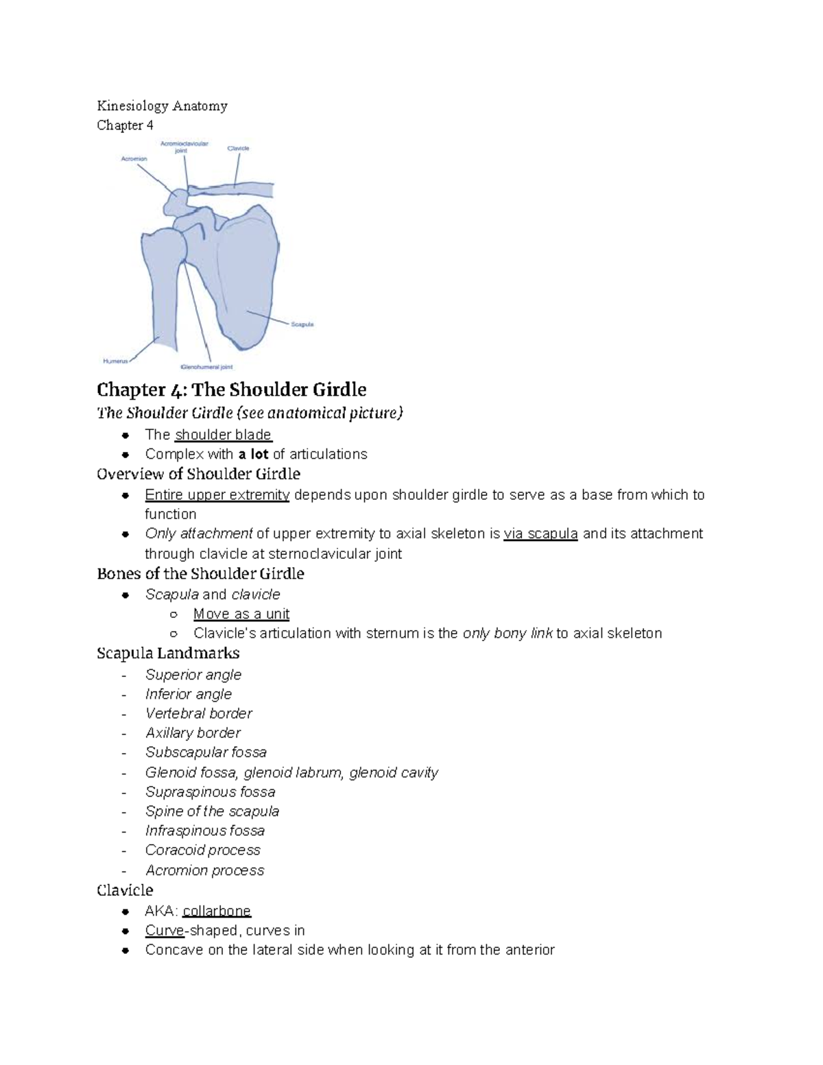 Kinesiology Anatomy- Chapter 4 - Google Docs - Kinesiology Anatomy 